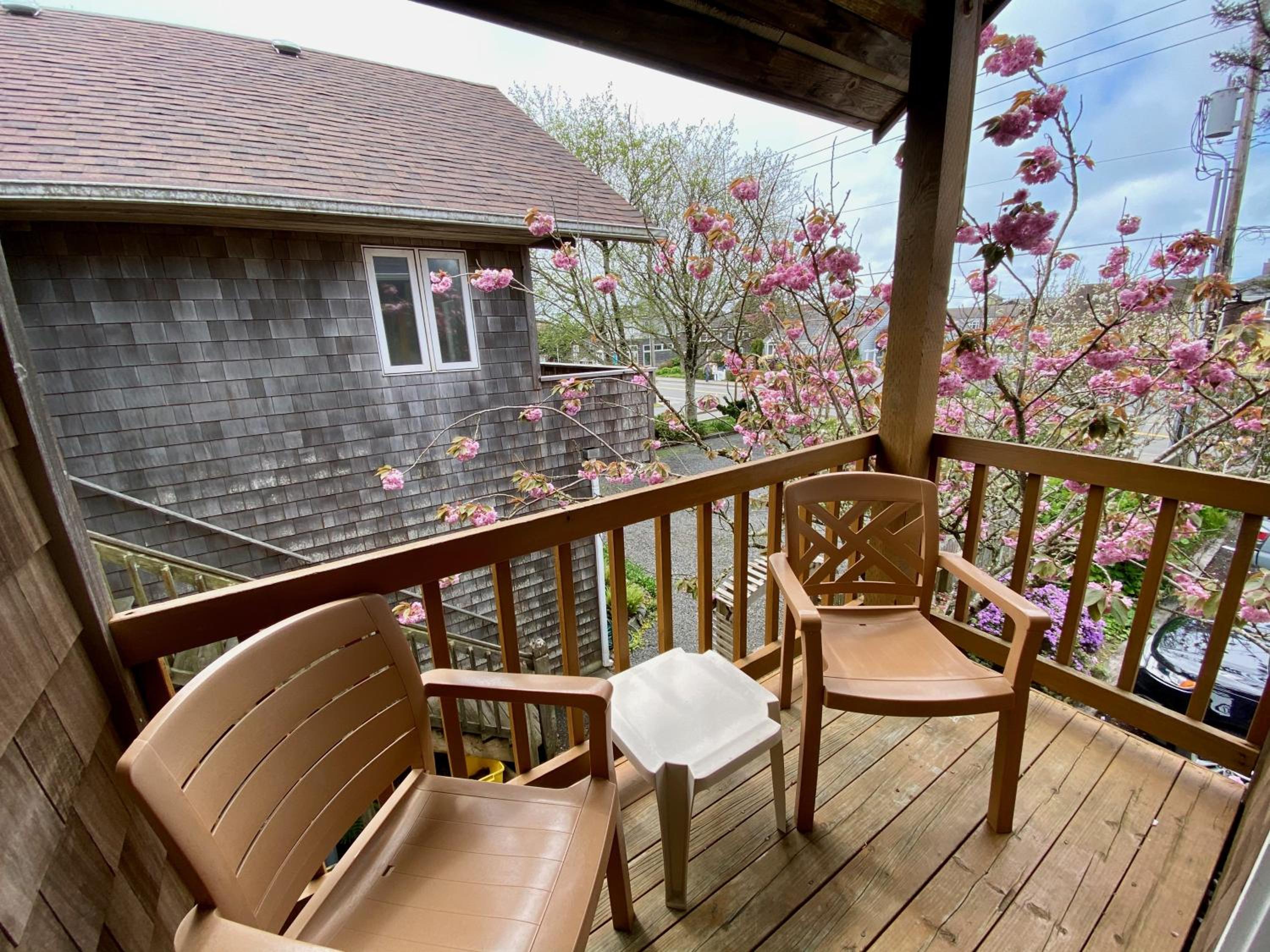 Queen Suite with Sofabed, 2nd Floor, Pets Allowed photo 2
