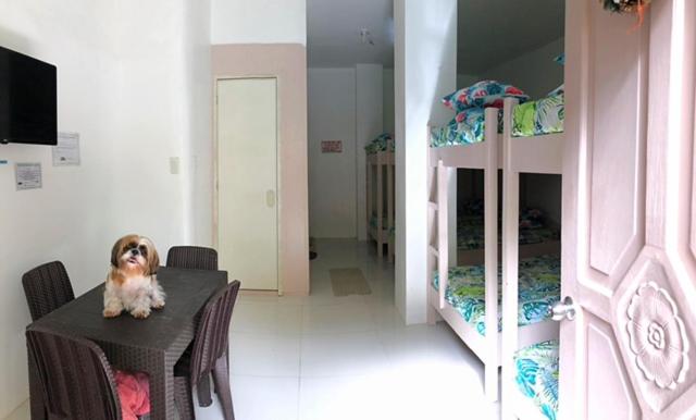 Two-Bedroom Villa photo 2