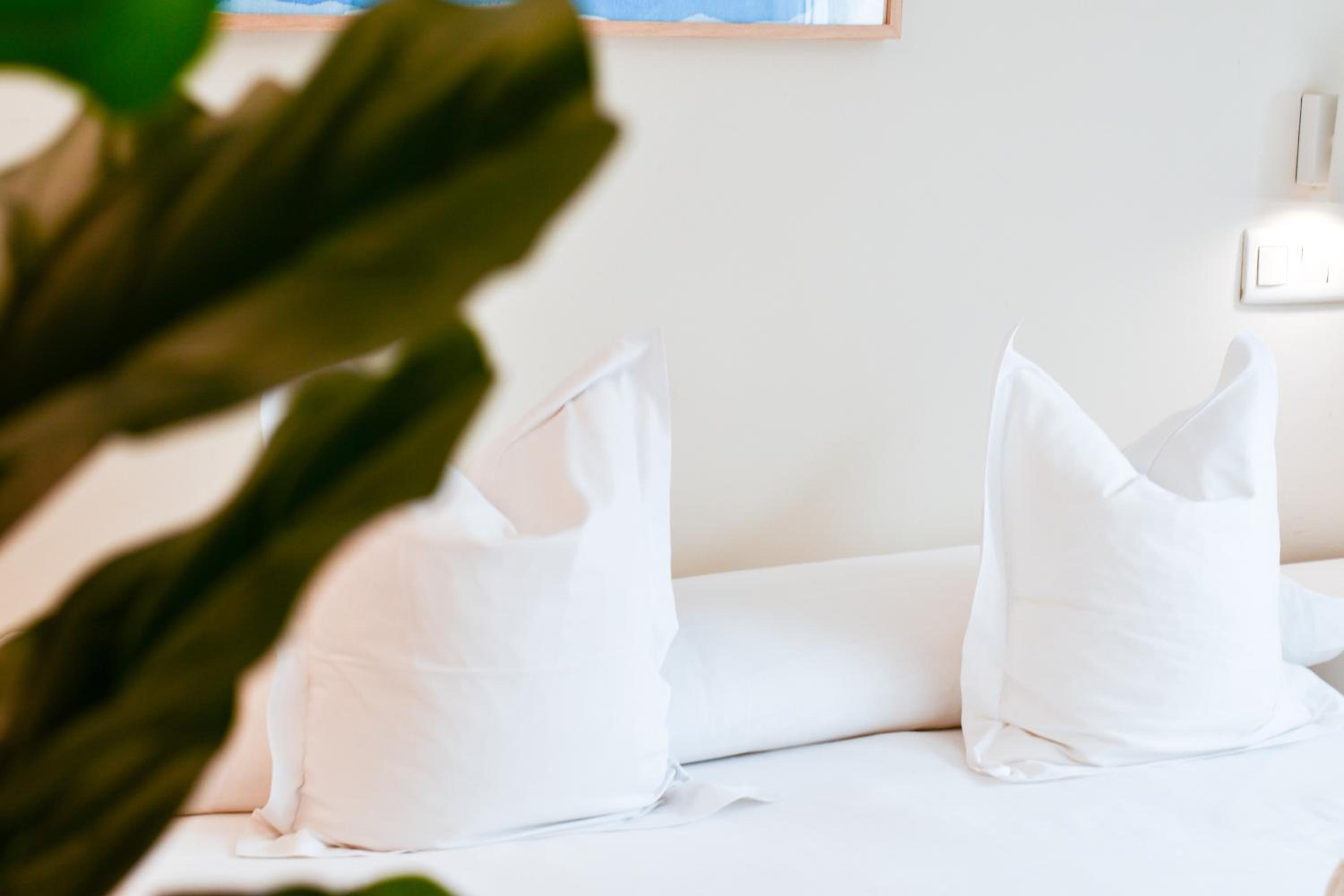 Suite Deluxe