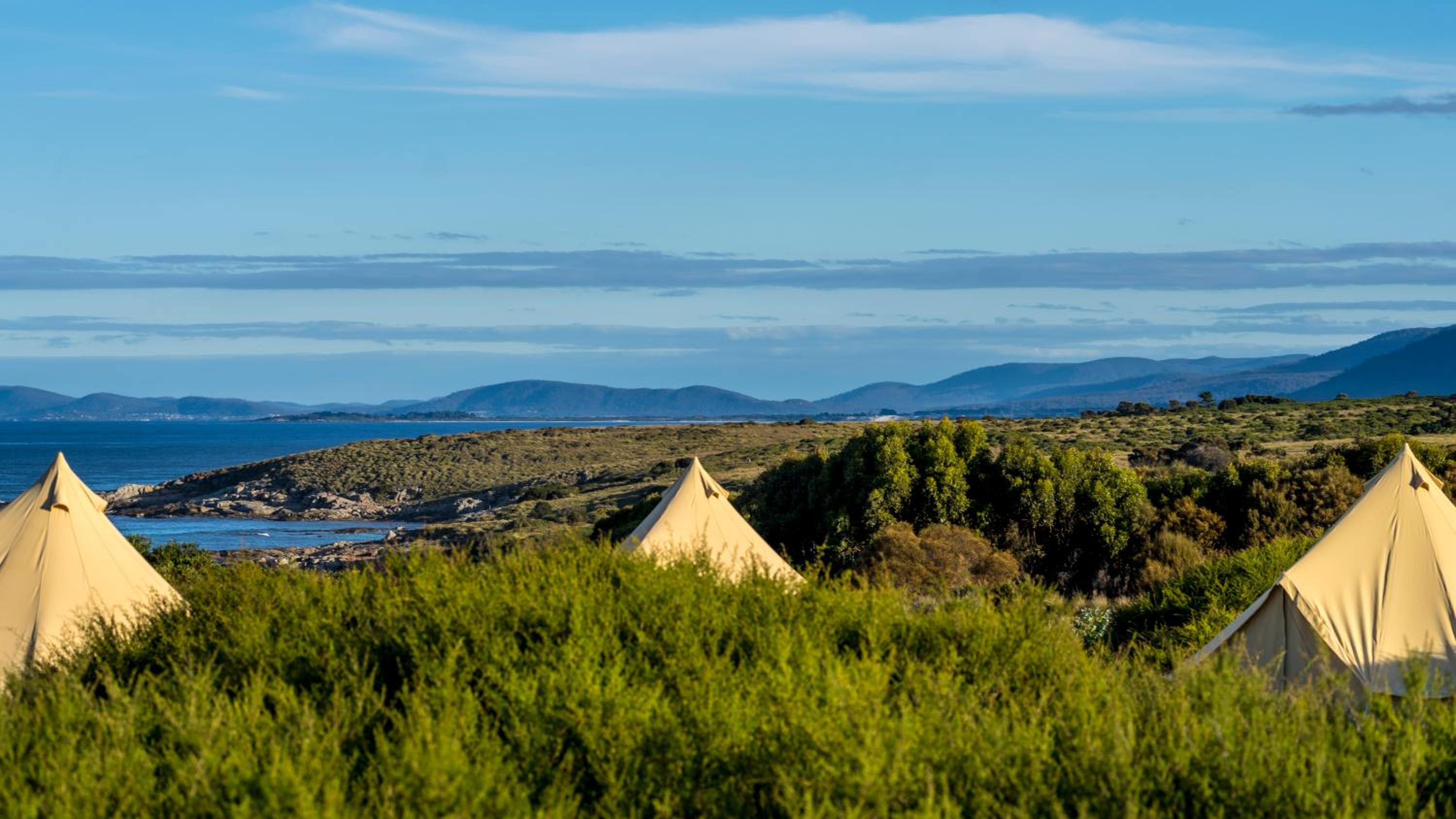 Twin garden view tent