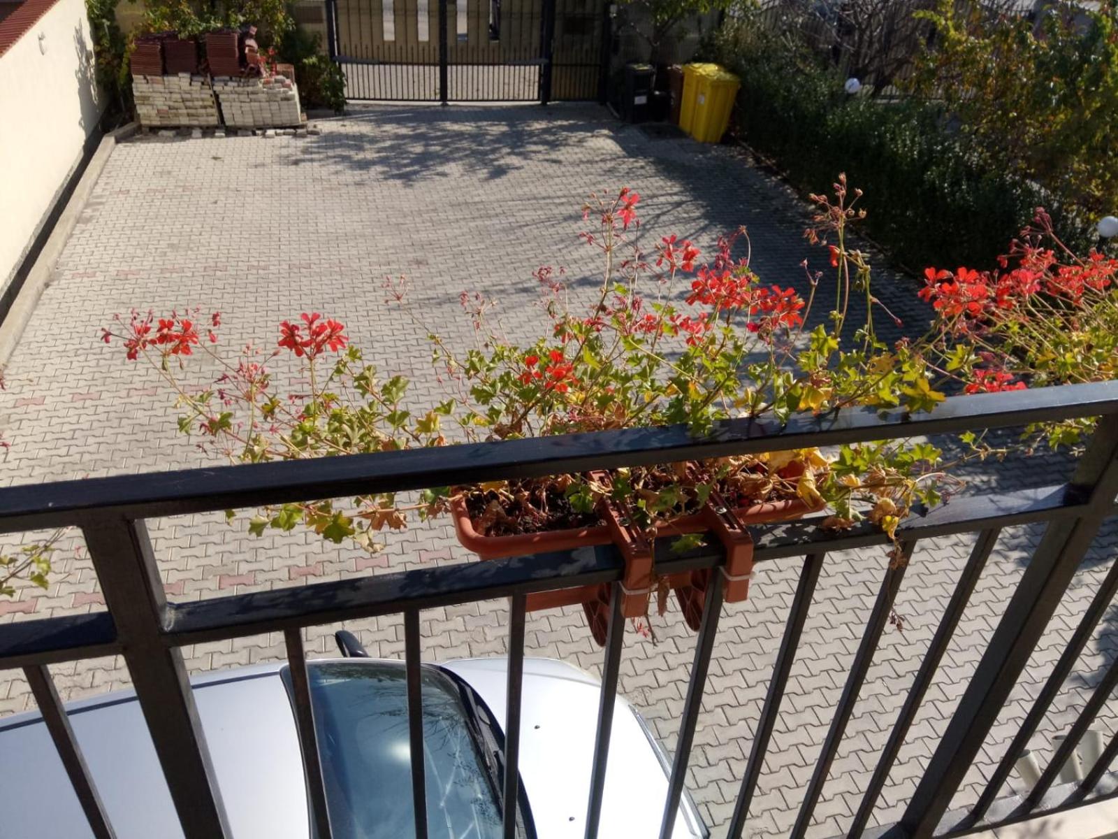 Two-Bedroom Apartment with Balcony - Photo 3