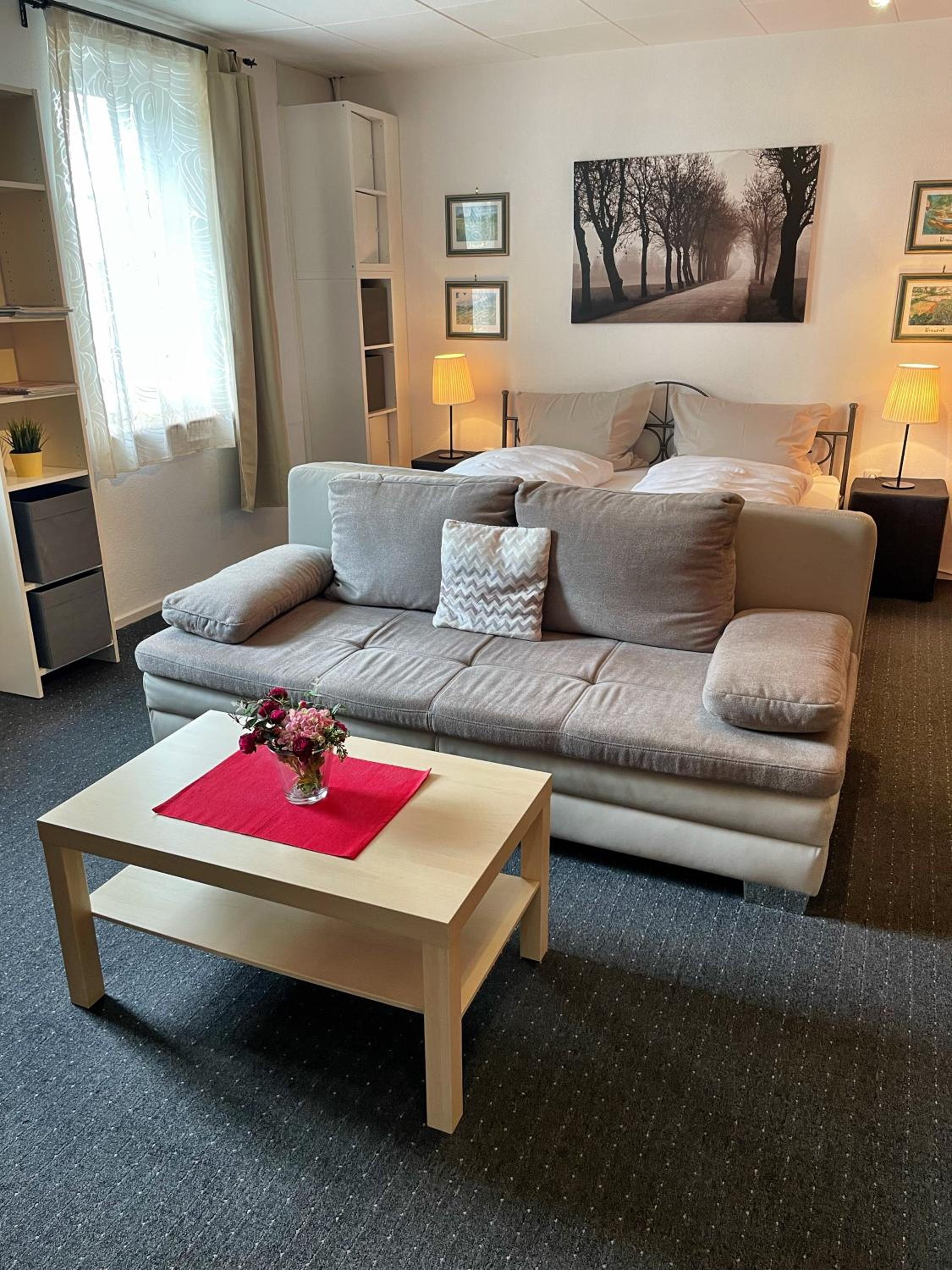 One-Bedroom Apartment with River View photo 3