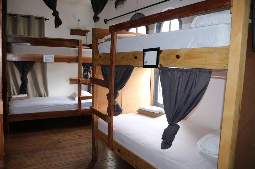 Bed In 4-Bed Mixed Dormitory Room photo 1