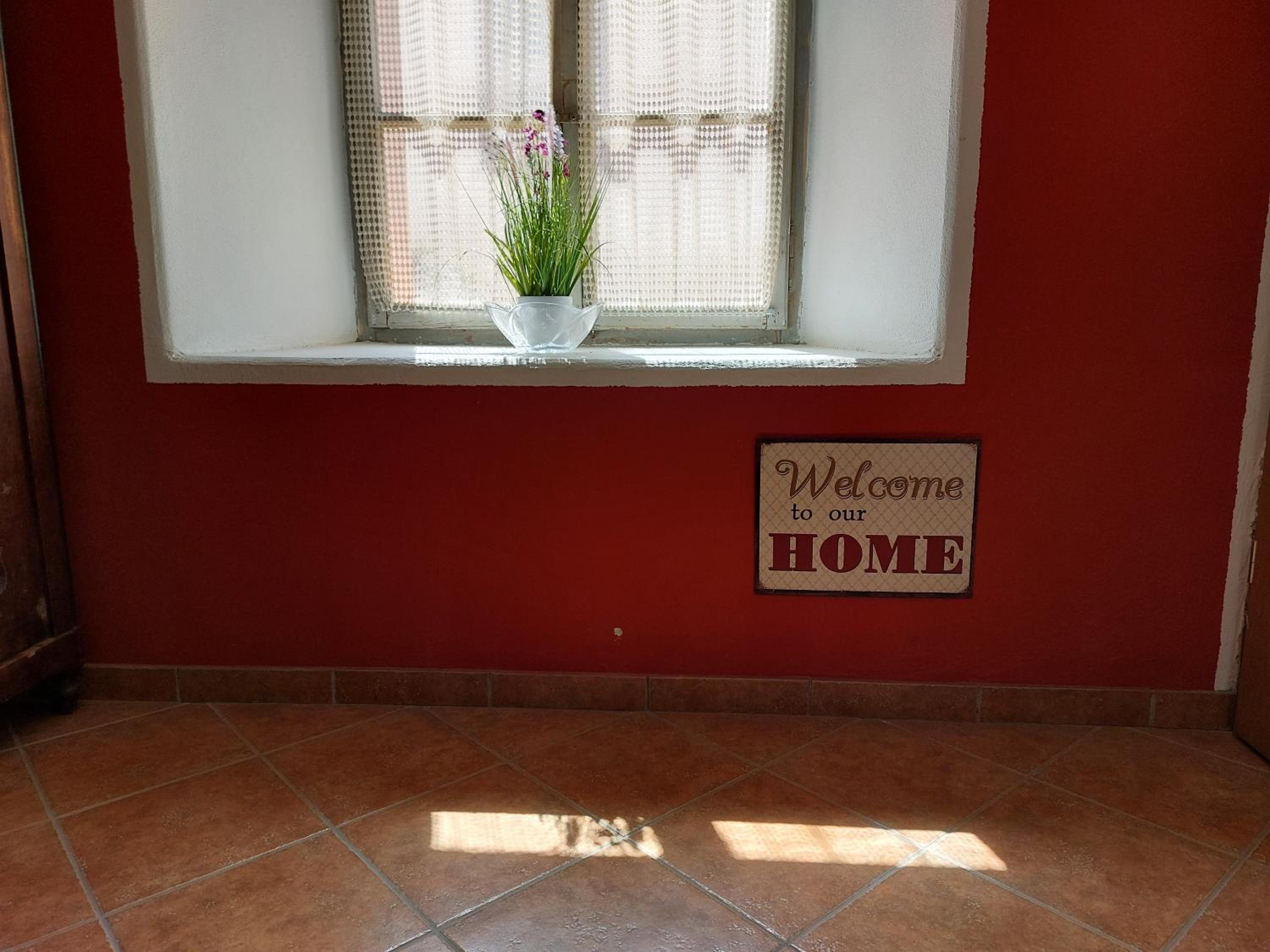 Apartment with Terrace photo 3