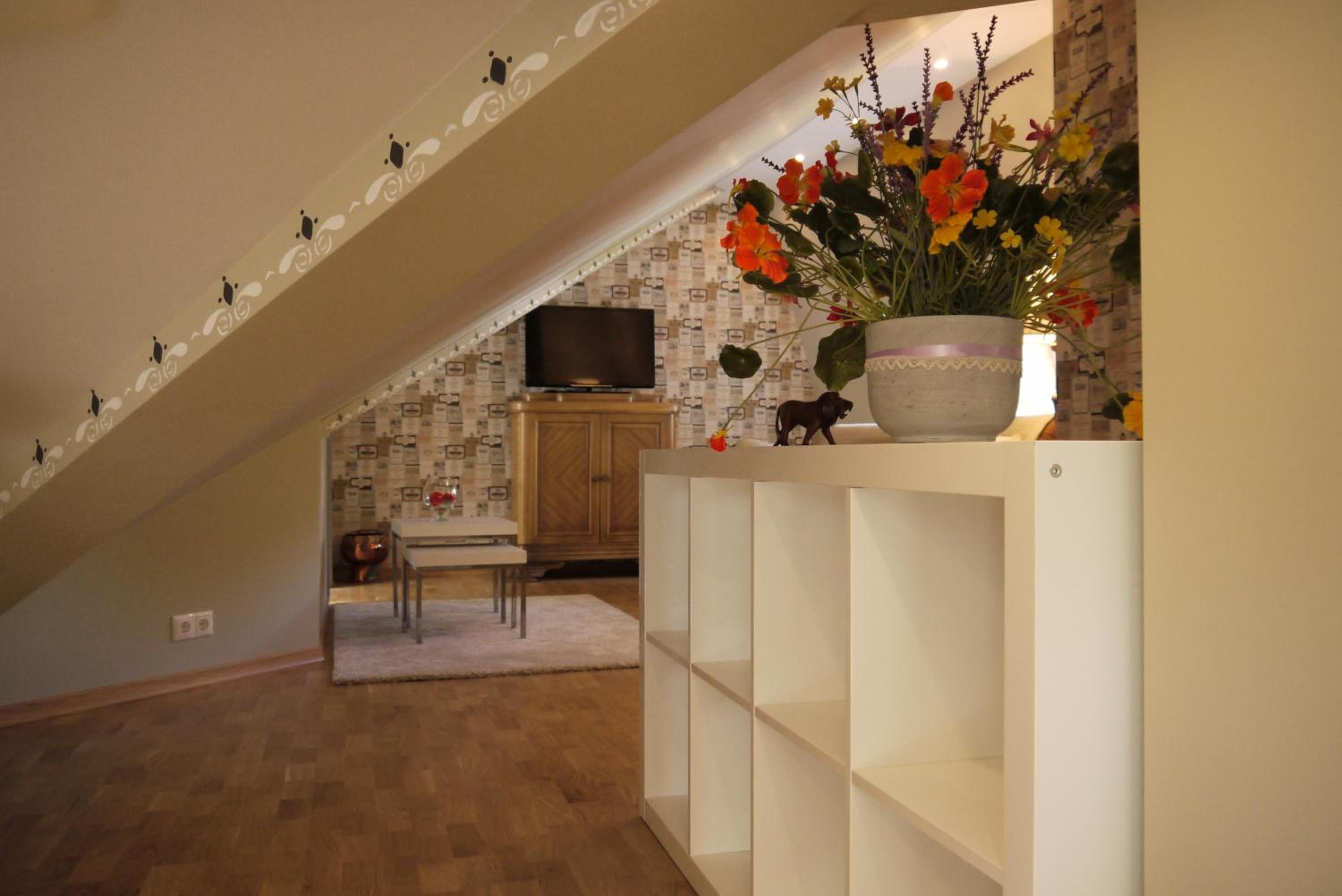 One-Bedroom Apartment - Attic