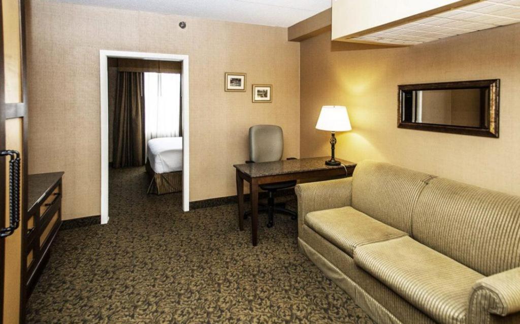 King Room photo 1