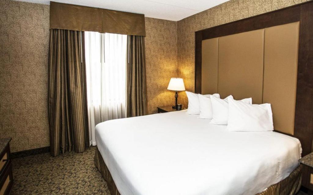 King Room photo 3