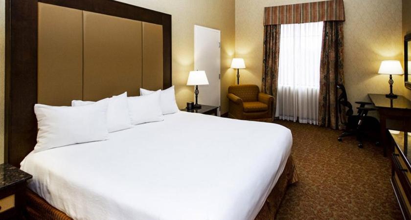 King Room photo 2