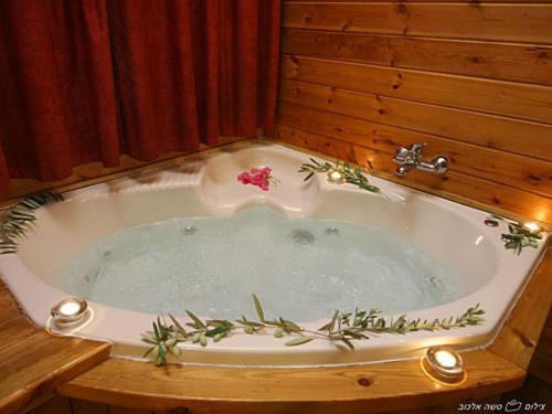 Chalet with Private Pool photo 2