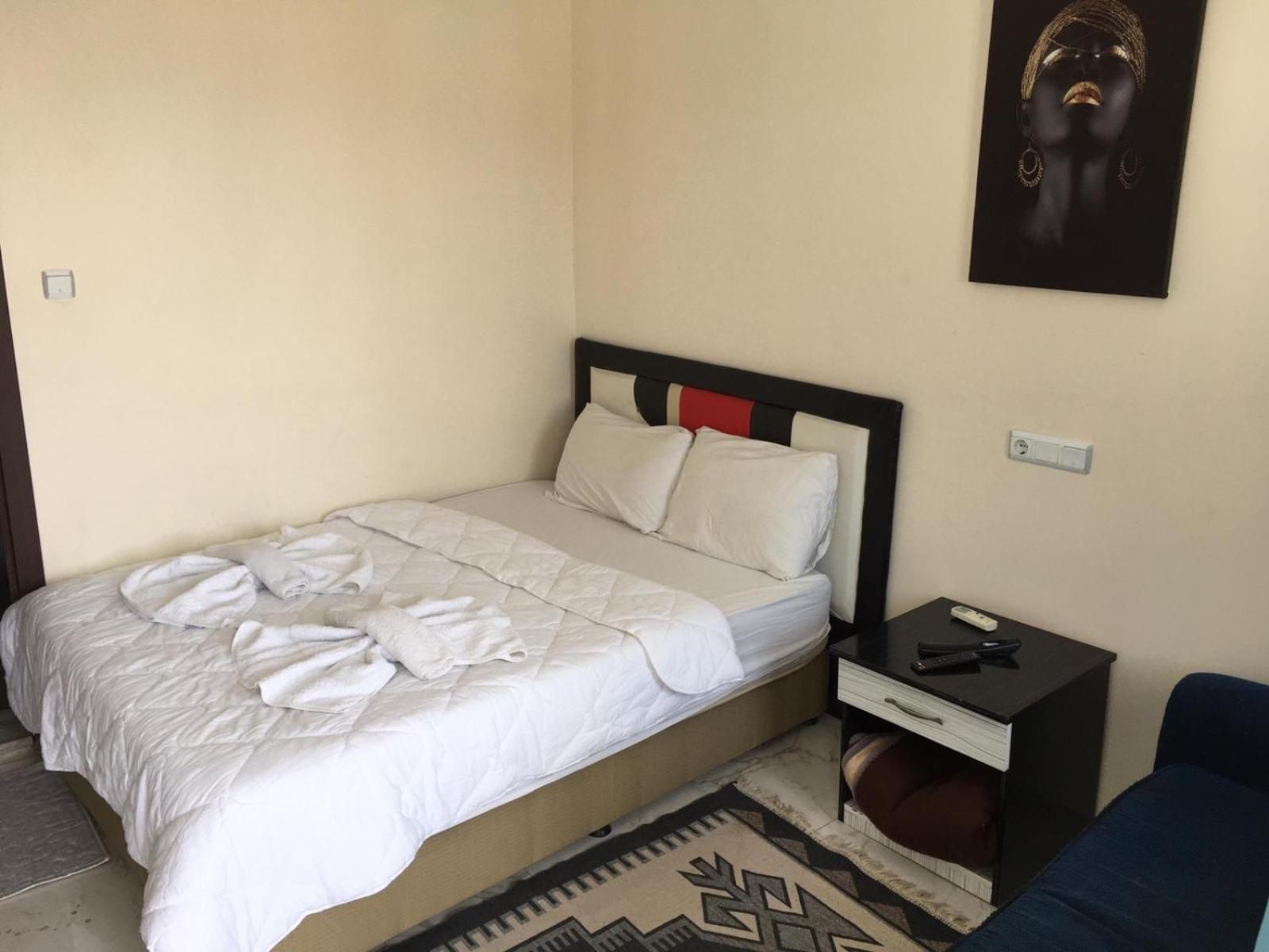 Standard Double or Twin Room photo 1