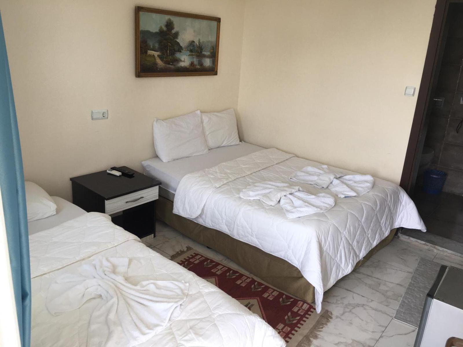 Standard Triple Room photo 1