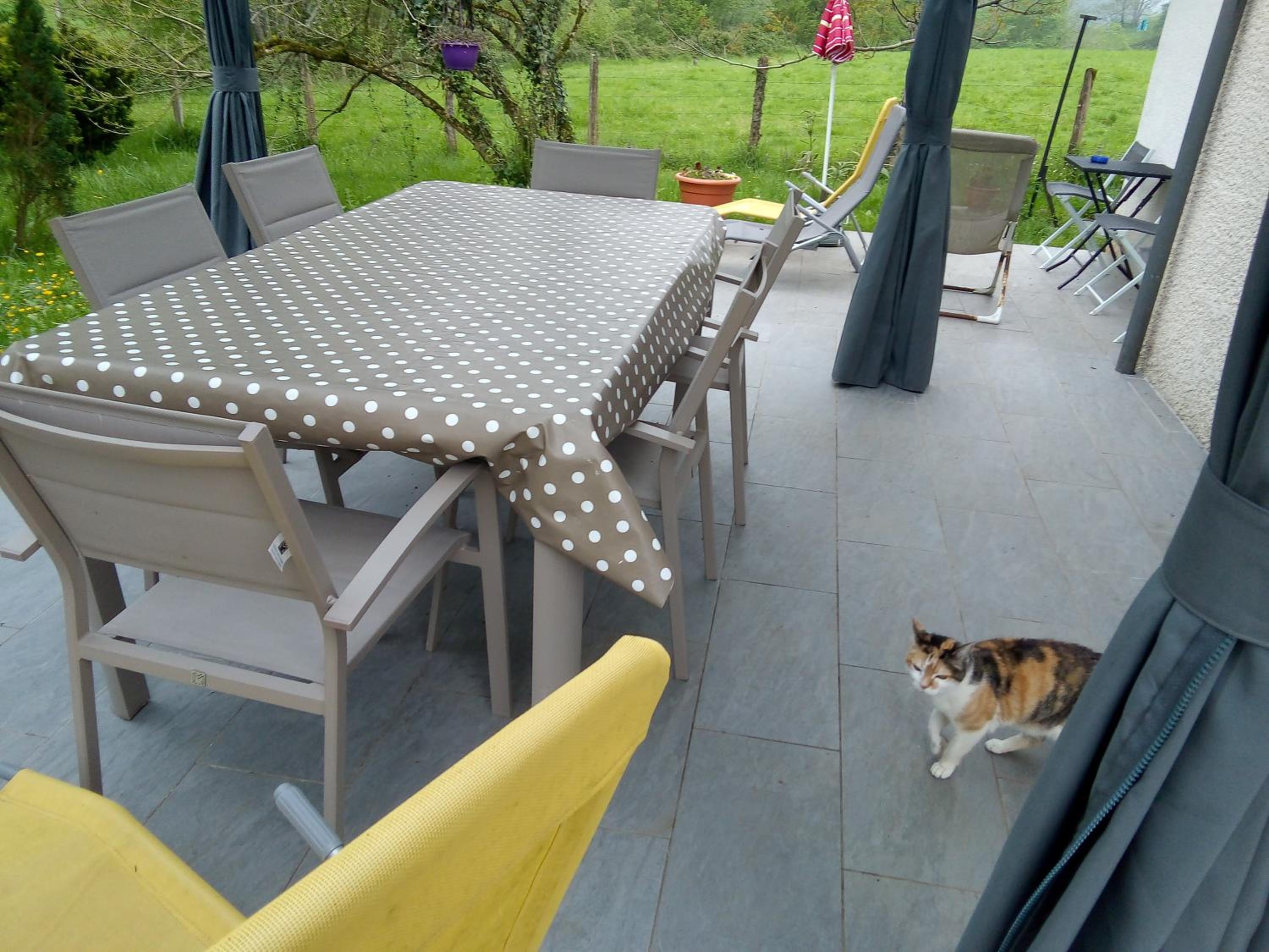 Double Room with Mountain View - Photo 20
