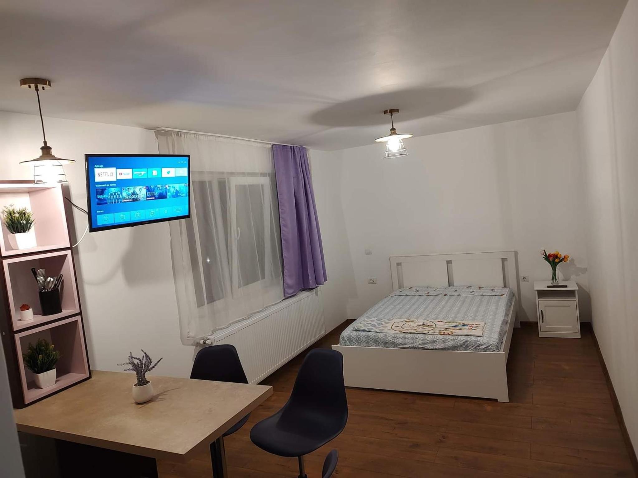 One-Bedroom Apartment photo 3