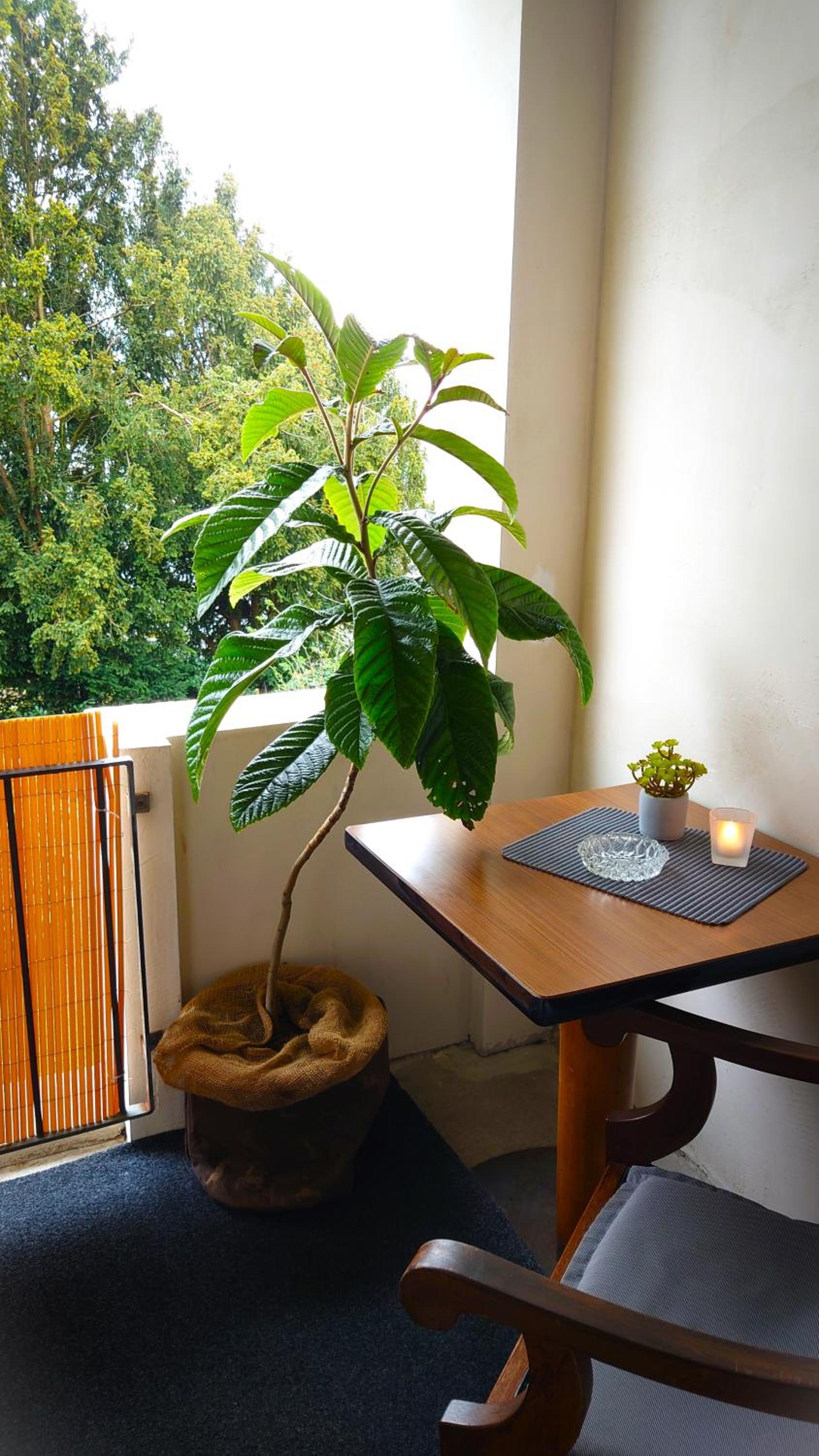 Single Room with Balcony photo 2