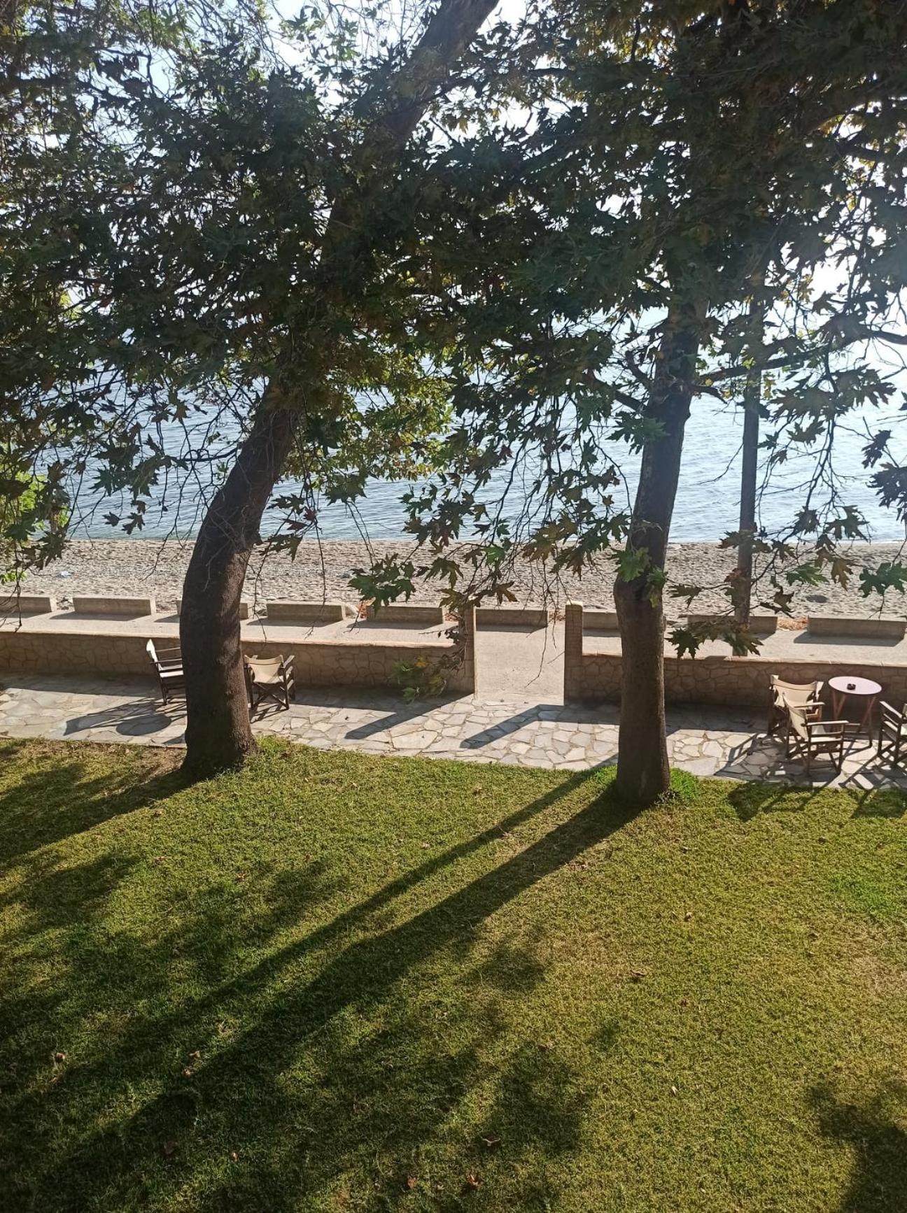 Studio with Sea View photo 1