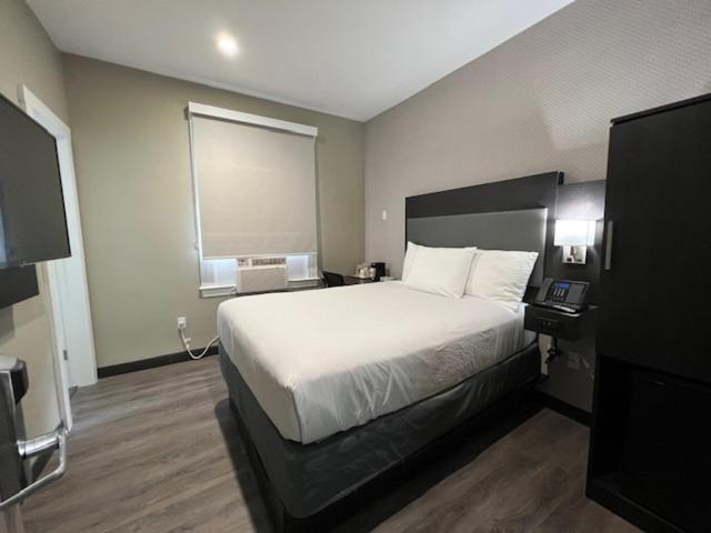 King Suite - Non-Smoking - Photo 1