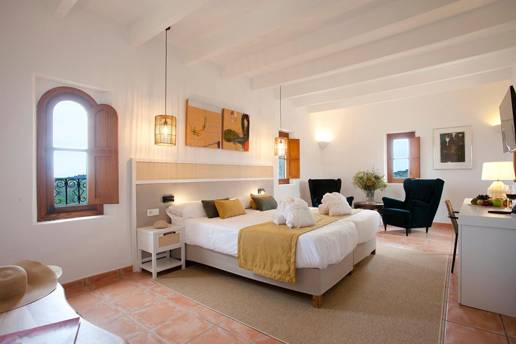 Suite Junior con Terraza