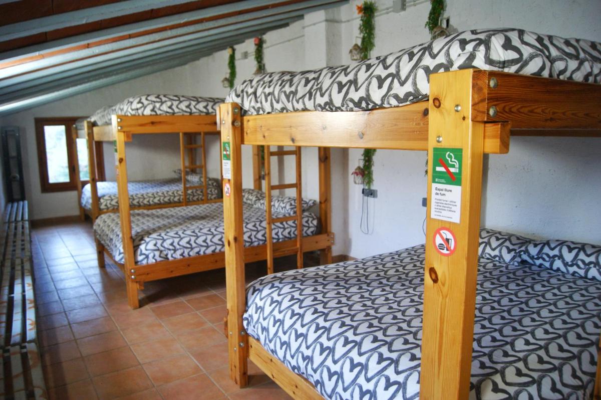Bunk Bed in Mixed Dormitory Room photo 3