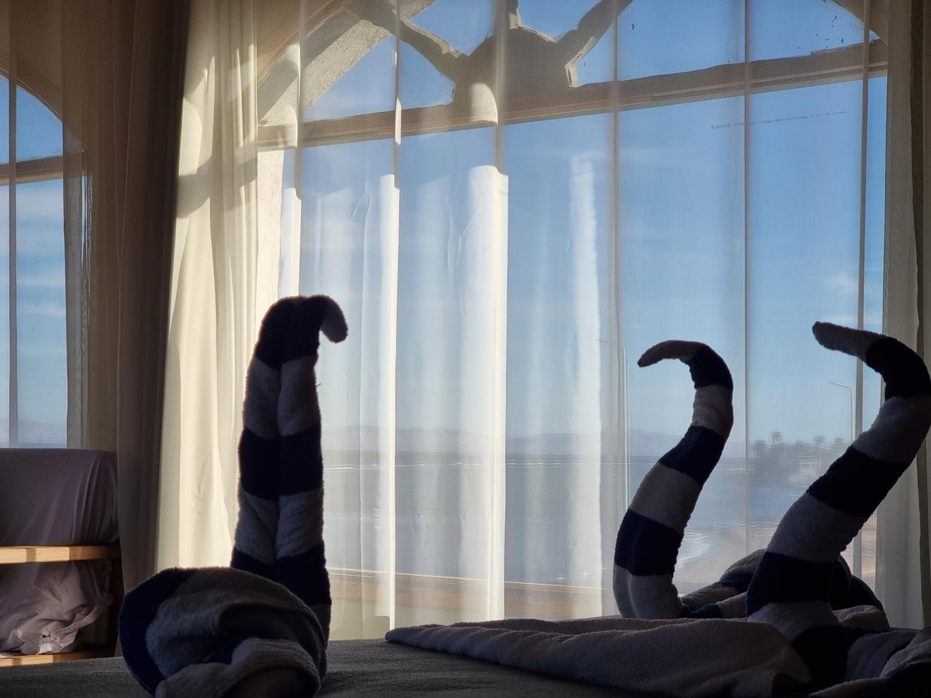 Superior Suite with Sea View - Photo 9
