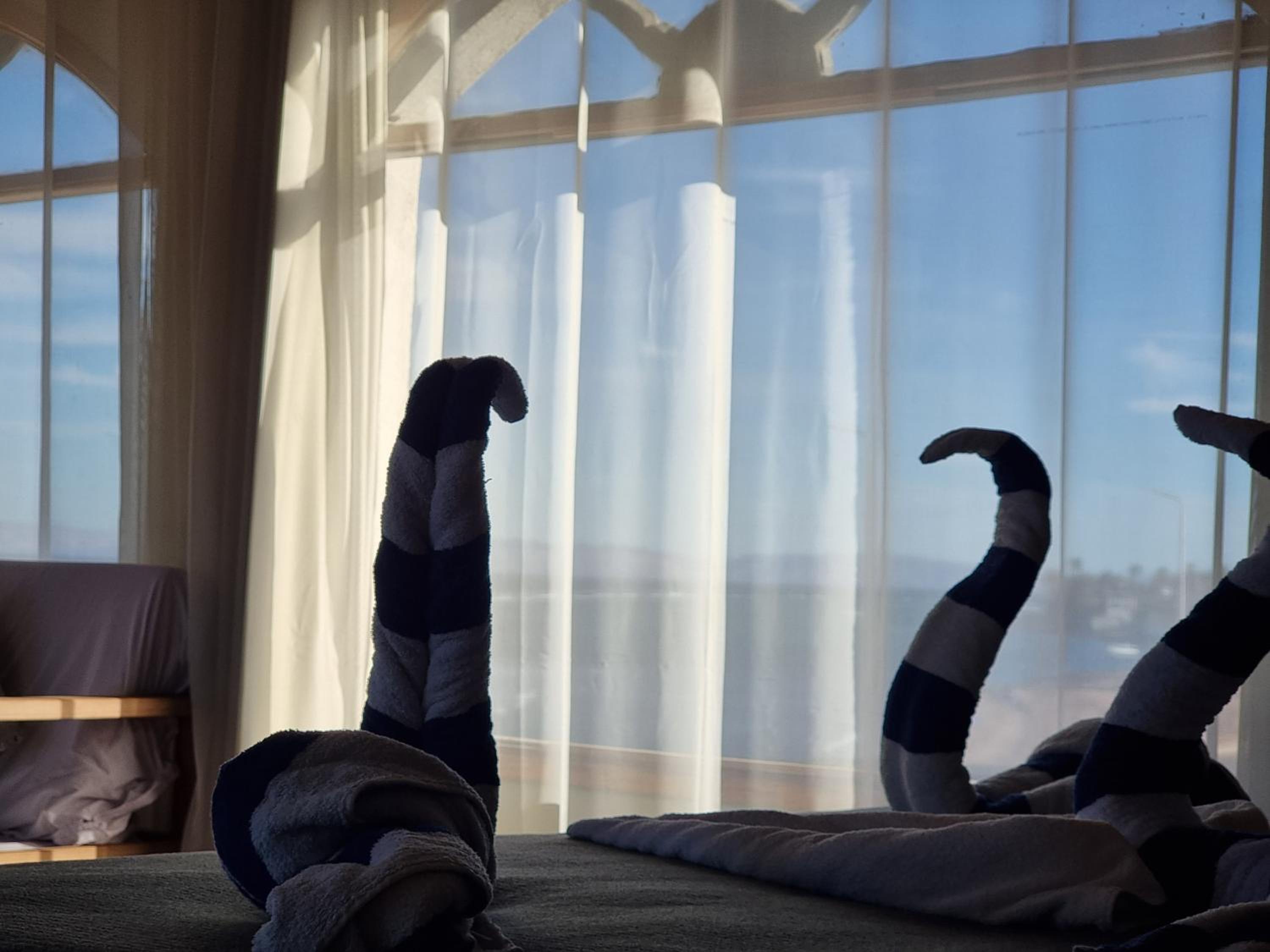 Superior Suite with Sea View - Photo 1