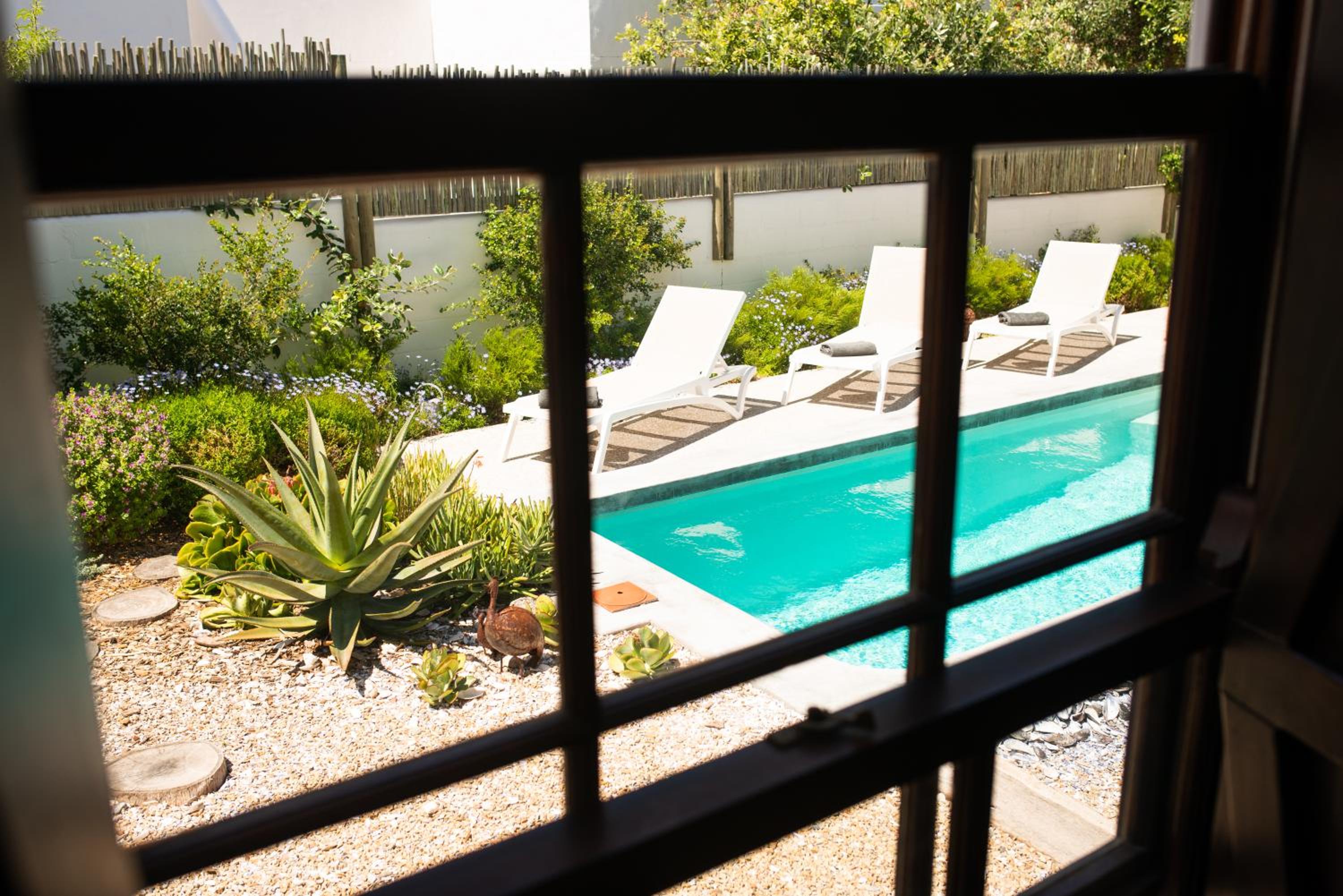 Queen Room with Pool View photo 3