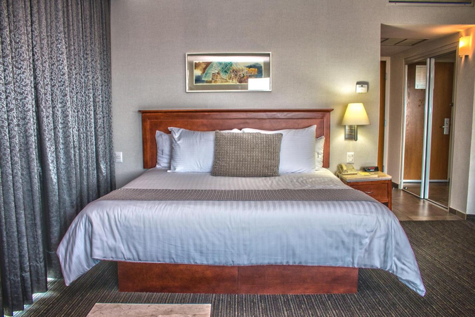 Suite - Photo 2