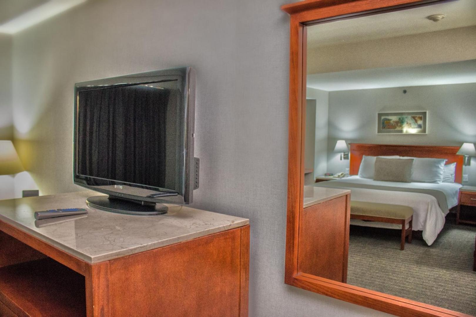 Suite - Photo 3