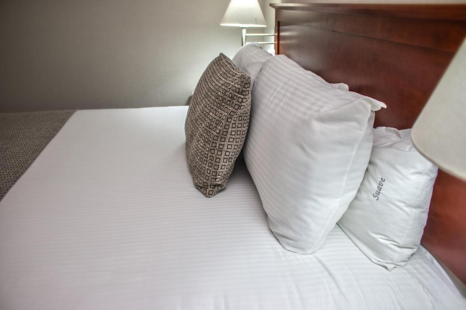 Suite - Photo 1