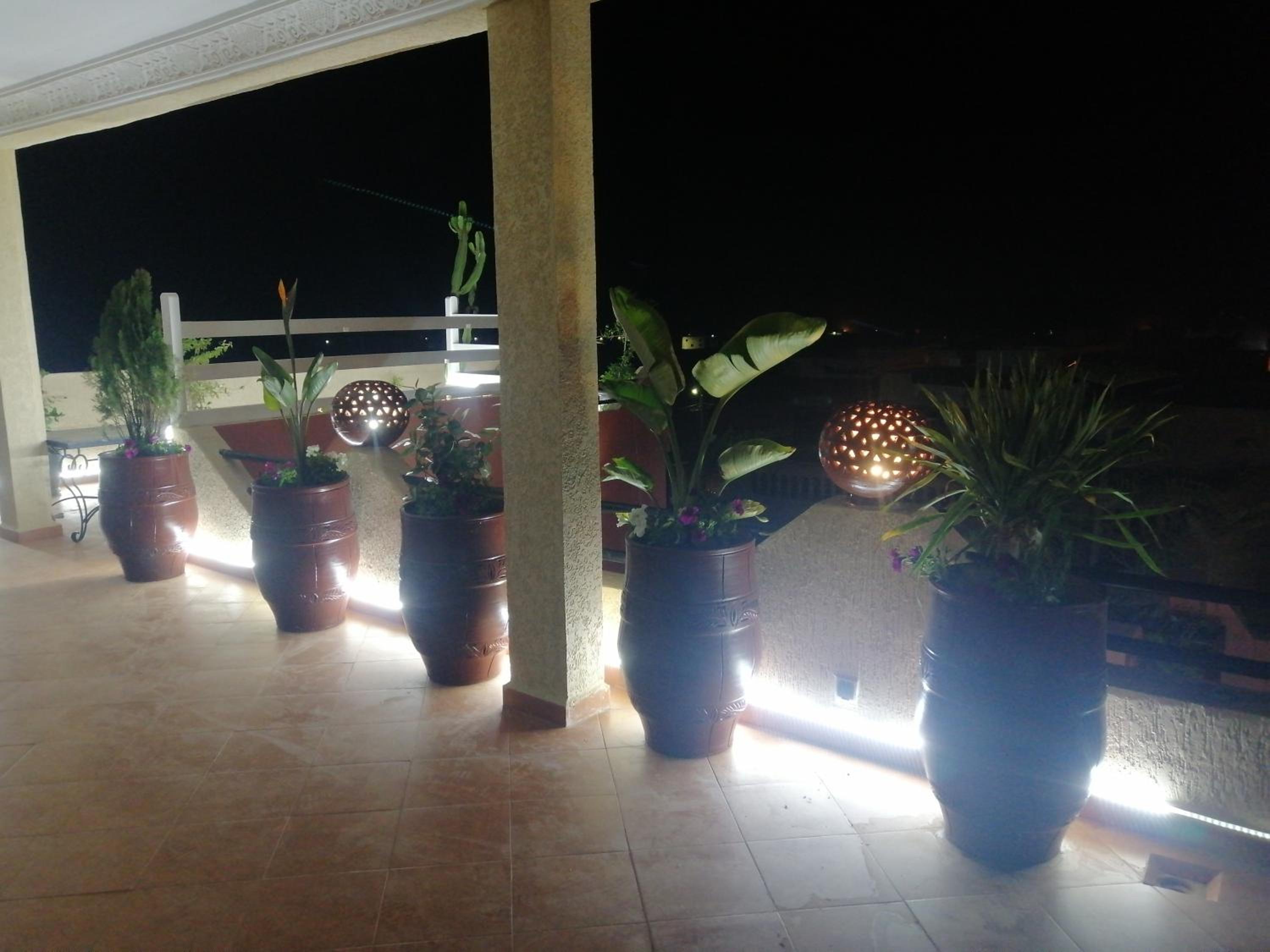 Apartment - Photo 12