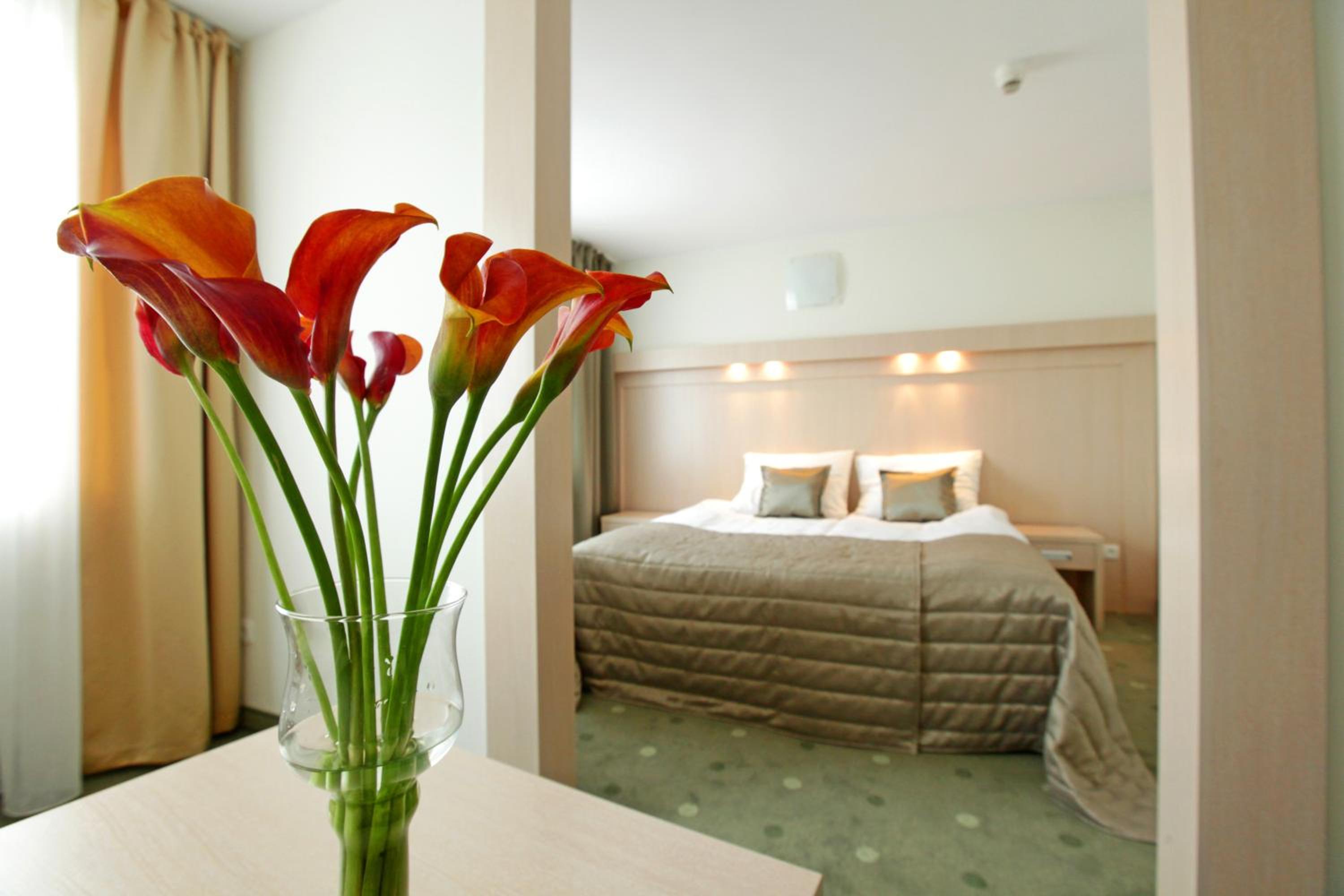 Double or Twin Room - Photo 8