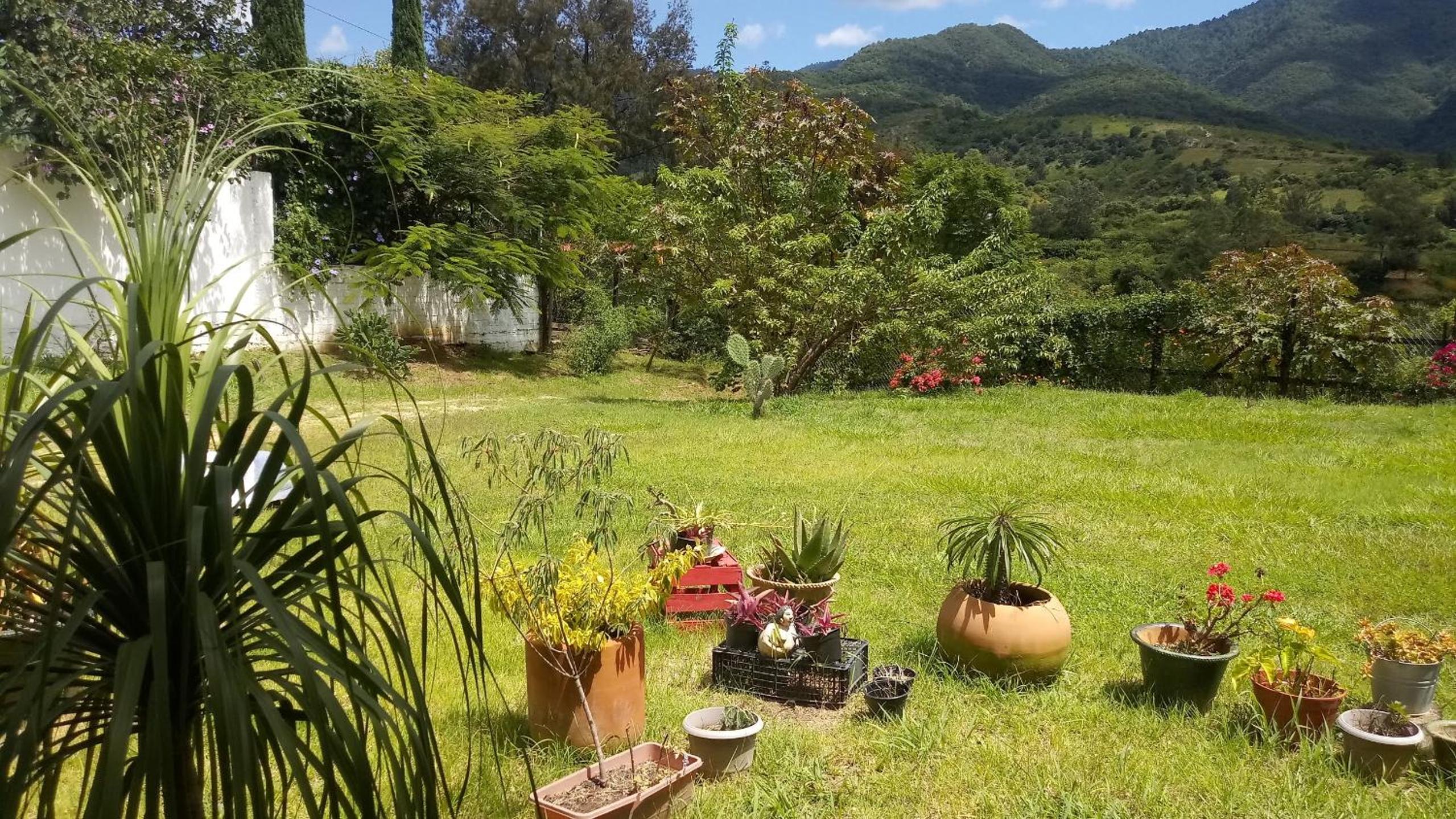 Single Room with Mountain View photo 2