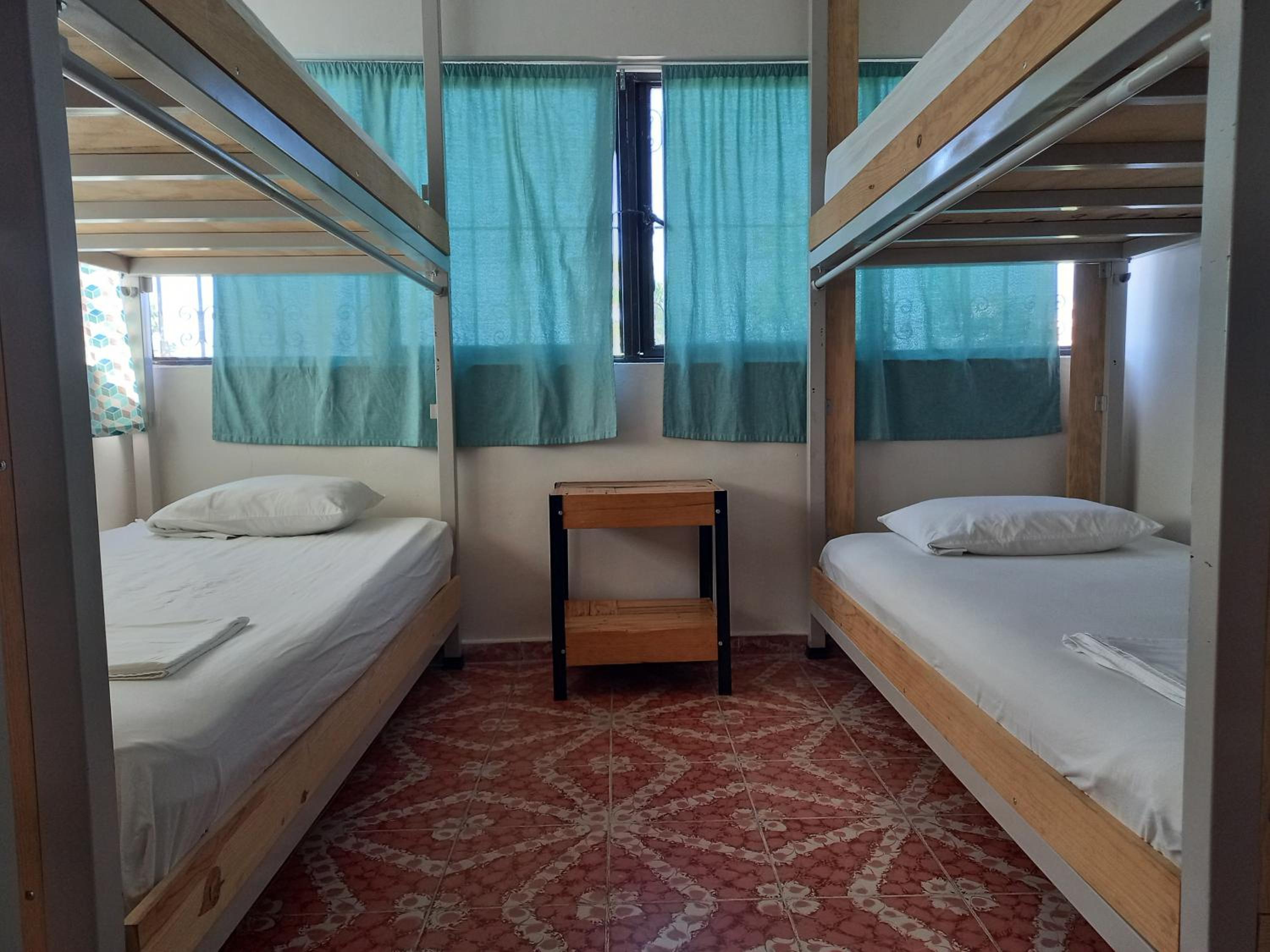 Bed in 4-Bed Mixed Dormitory Room photo 1