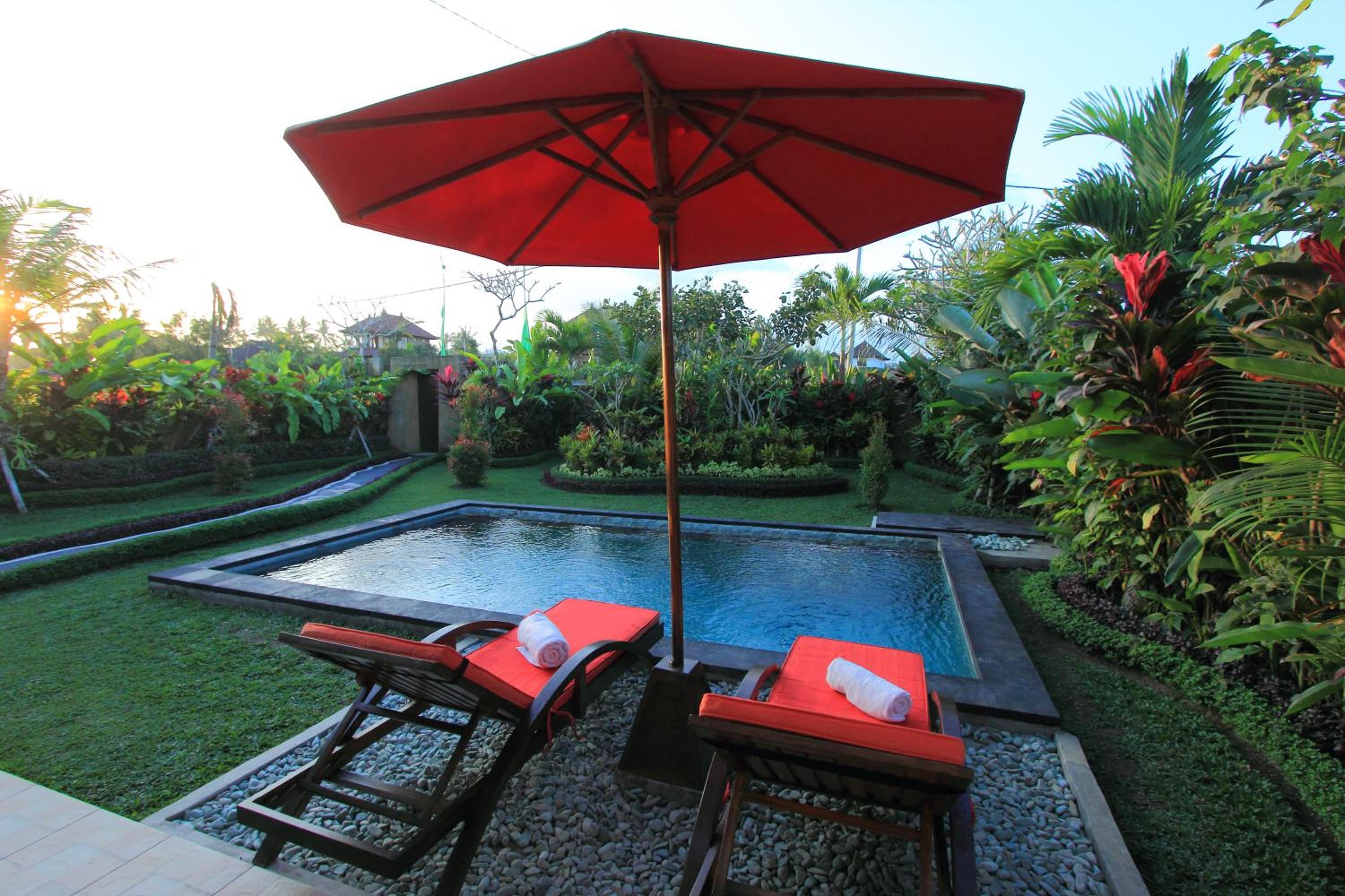 One-Bedroom Villa with Private Pool - Photo 3