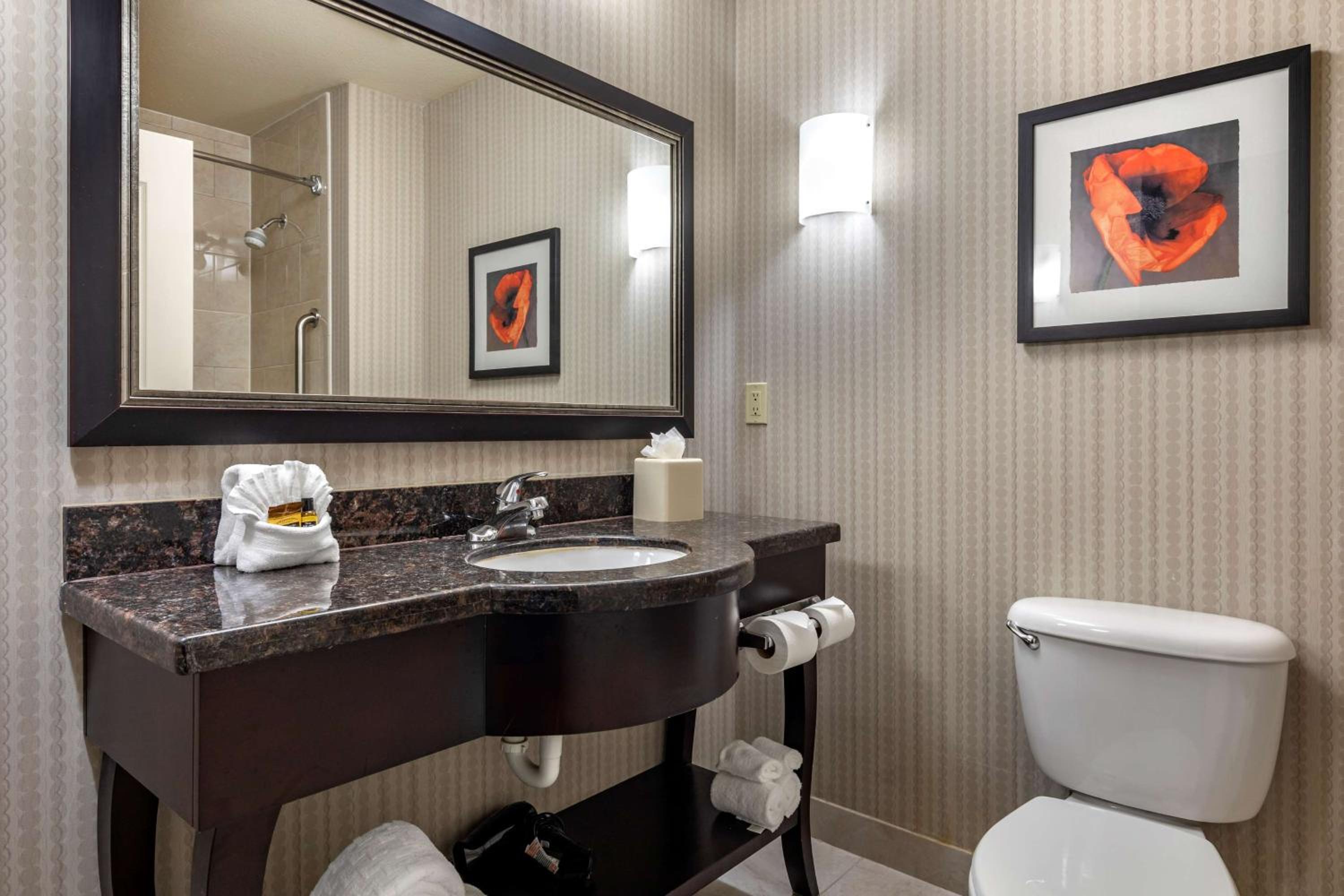 King Suite with Sofa Bed - Photo 3
