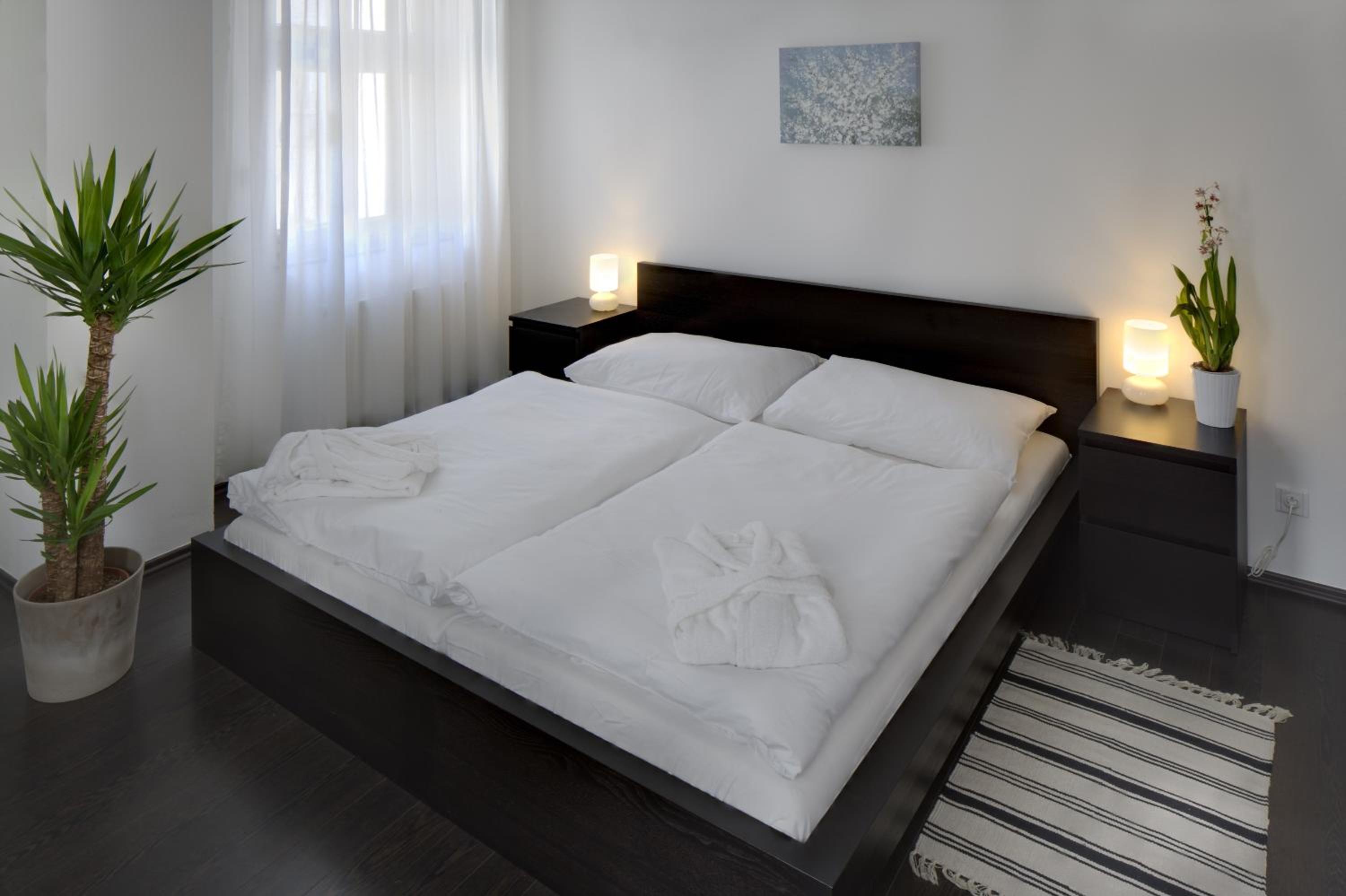 Three-Bedroom Apartment - Attic