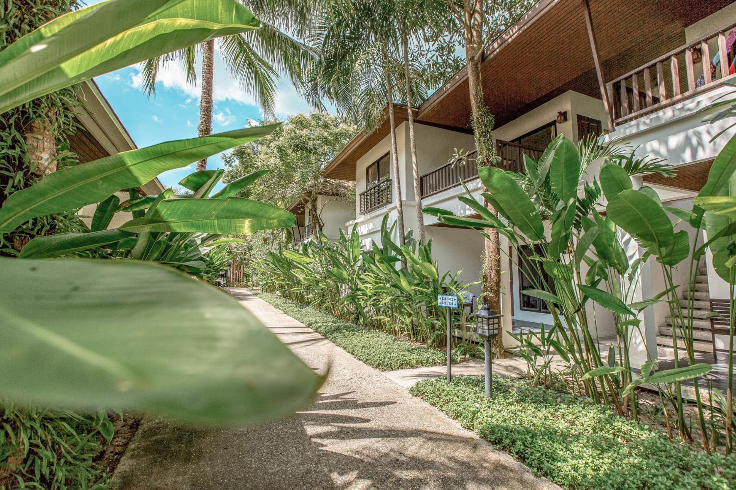 Sea Turtle Suite - Photo 3
