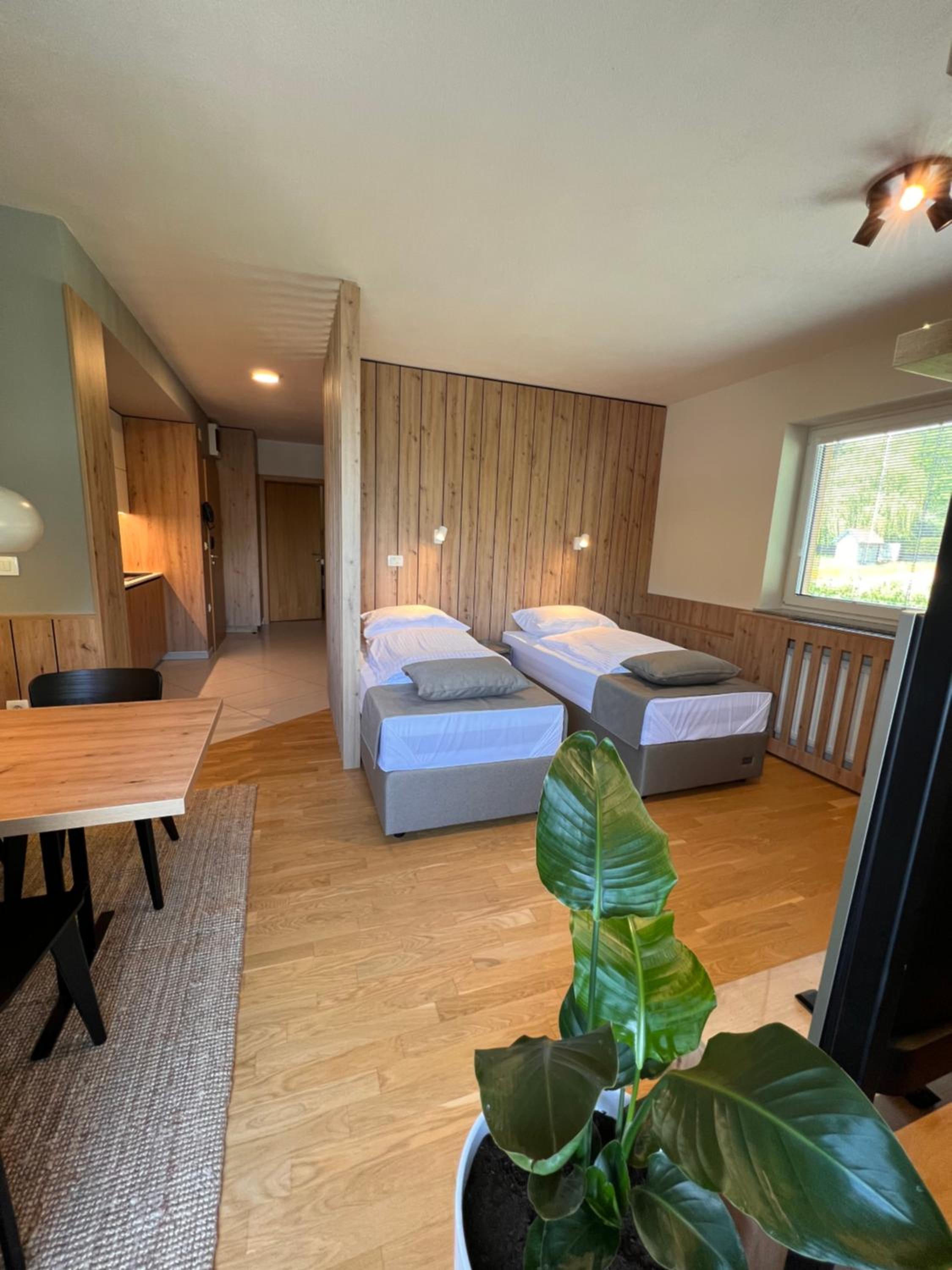 Deluxe Apartment - Photo 8