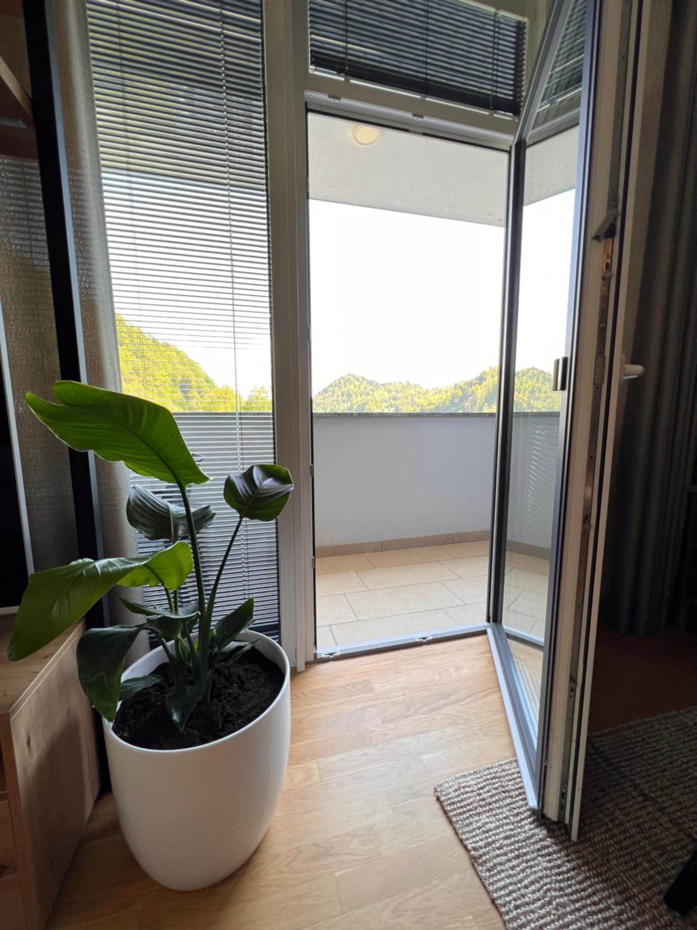 Deluxe Apartment - Photo 6