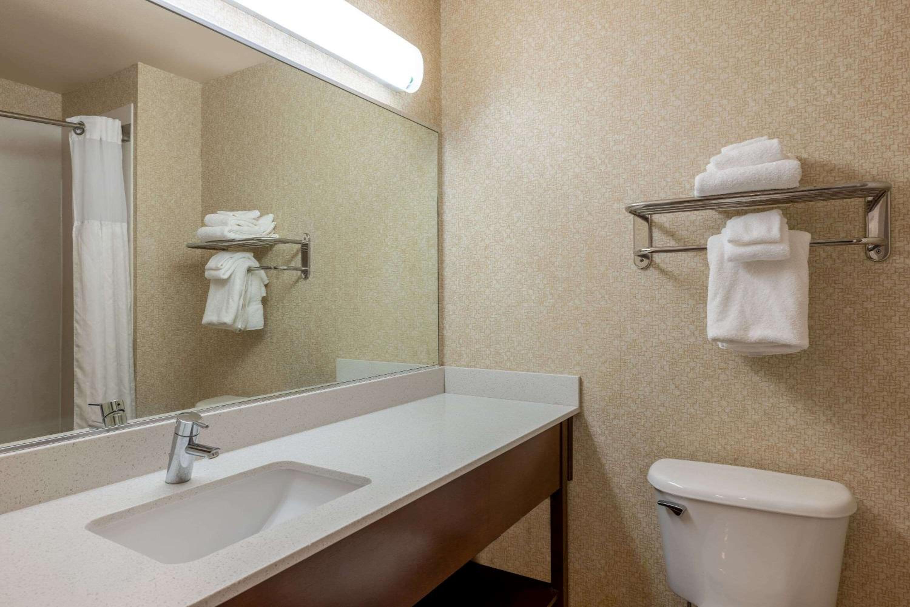 King Suite - Non-Smoking - Photo 5