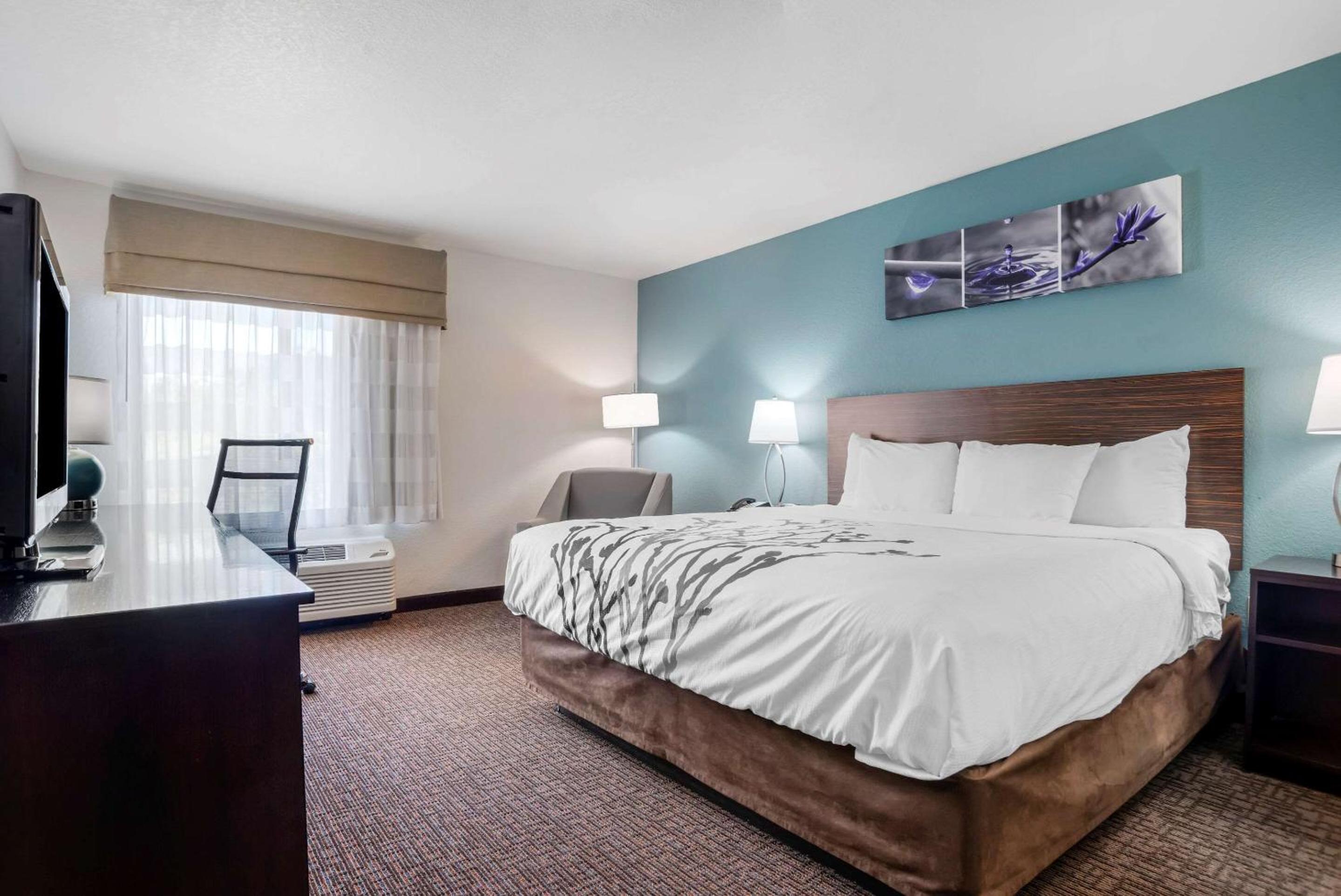 King Room - Non-Smoking - Photo 1