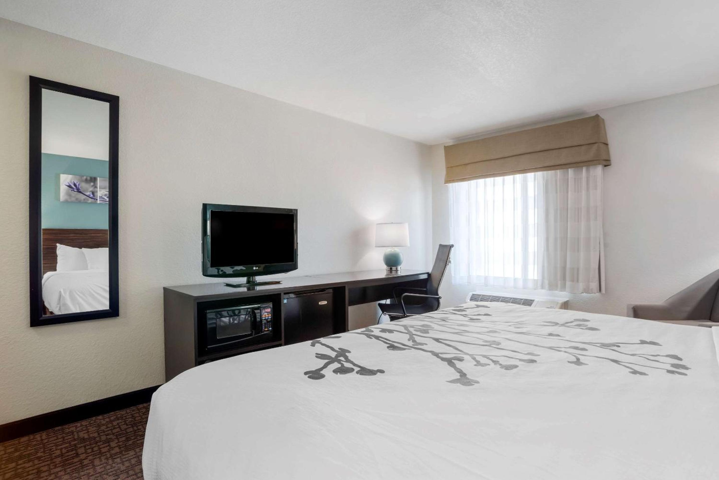 King Room - Non-Smoking - Photo 4