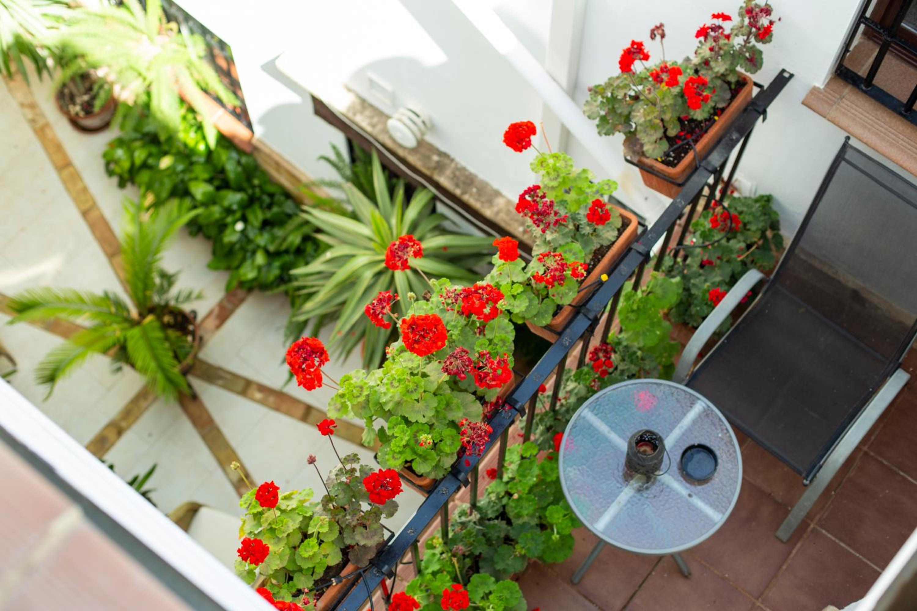 Two bedrooms Apartment with Balcony  - Photo 31