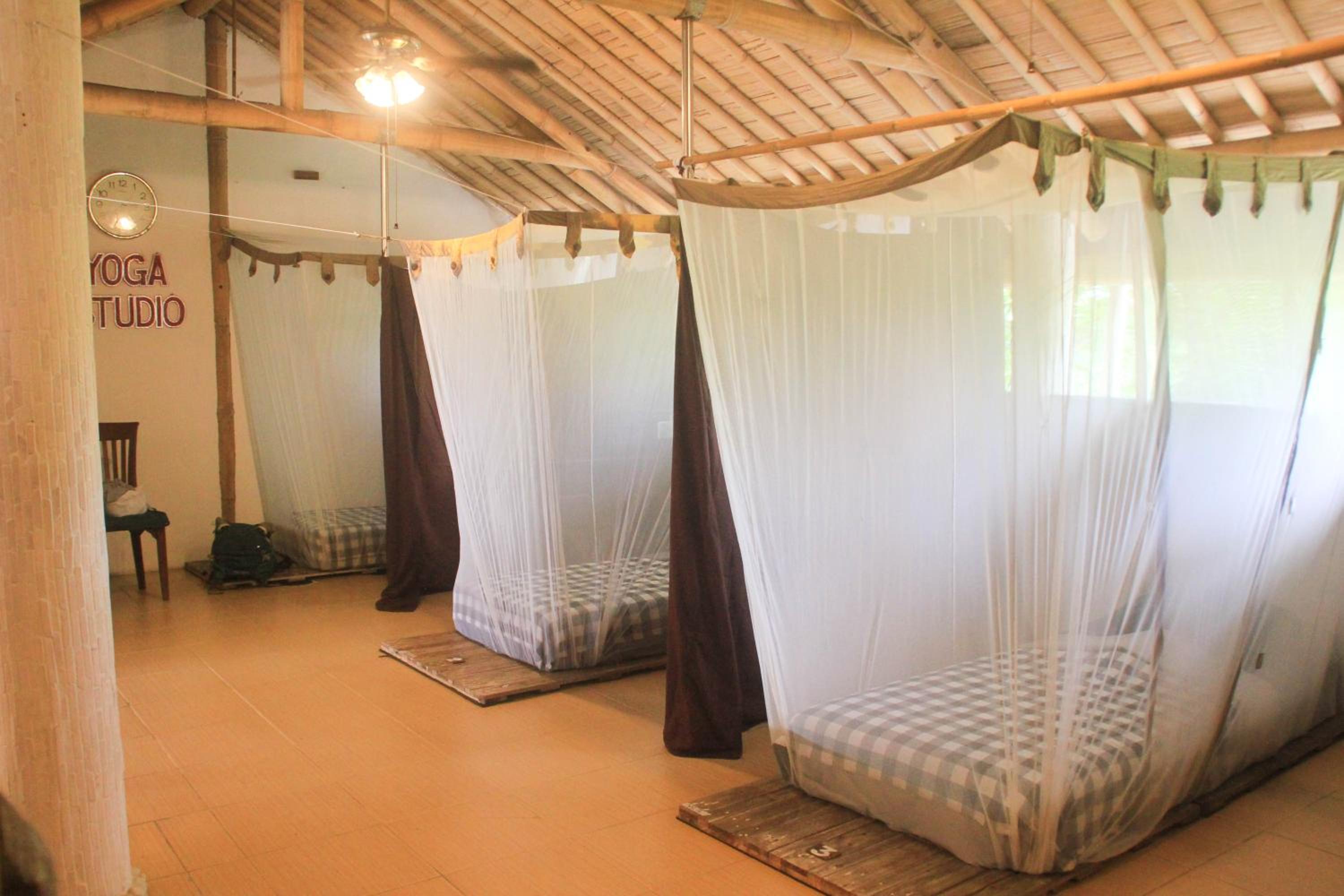 Bed in 6-Bed Dormitory Room