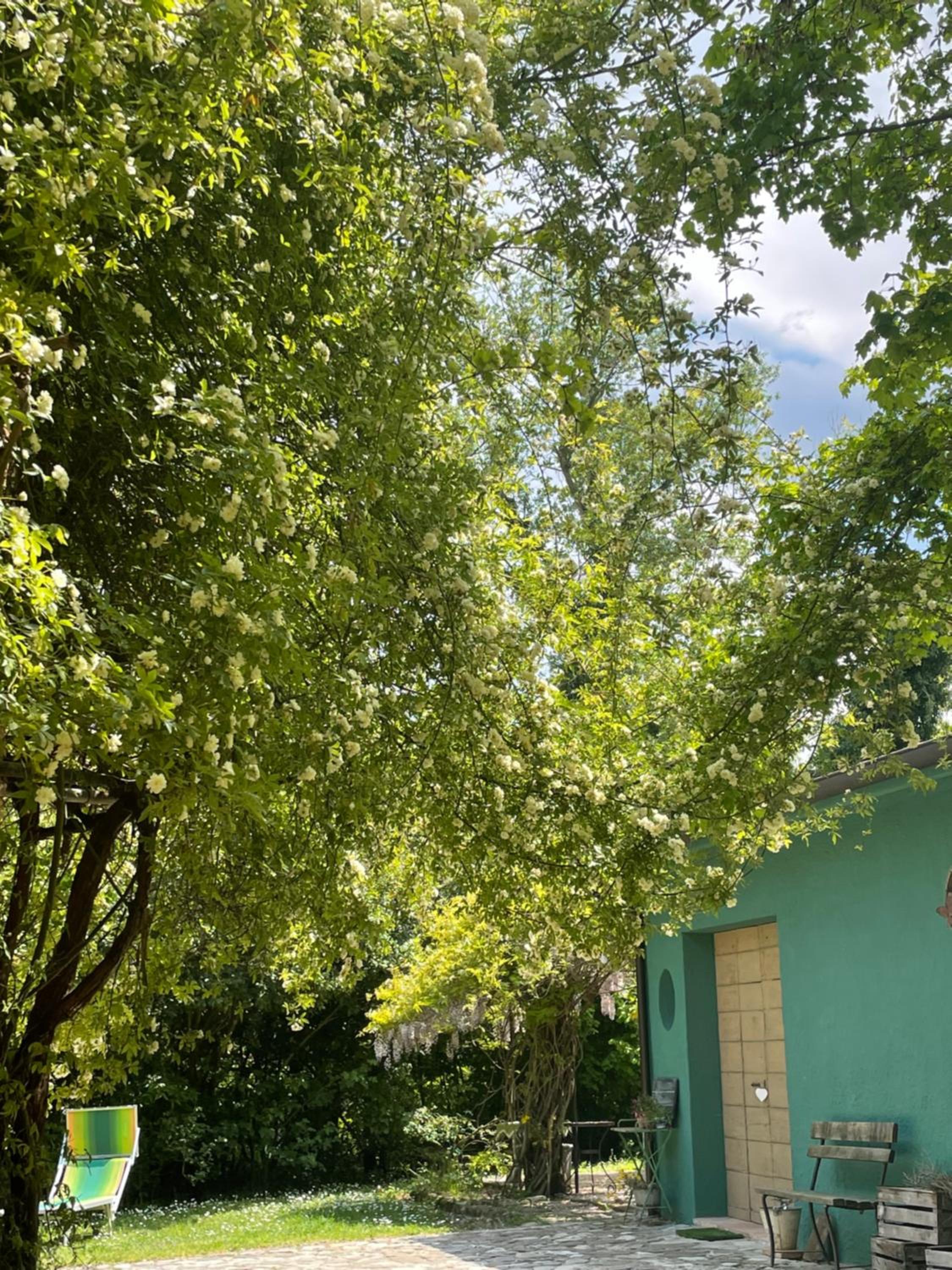 Studio with Garden View - Photo 31