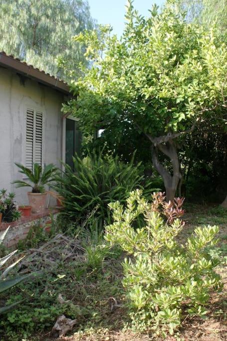Twin Room with Garden View photo 2