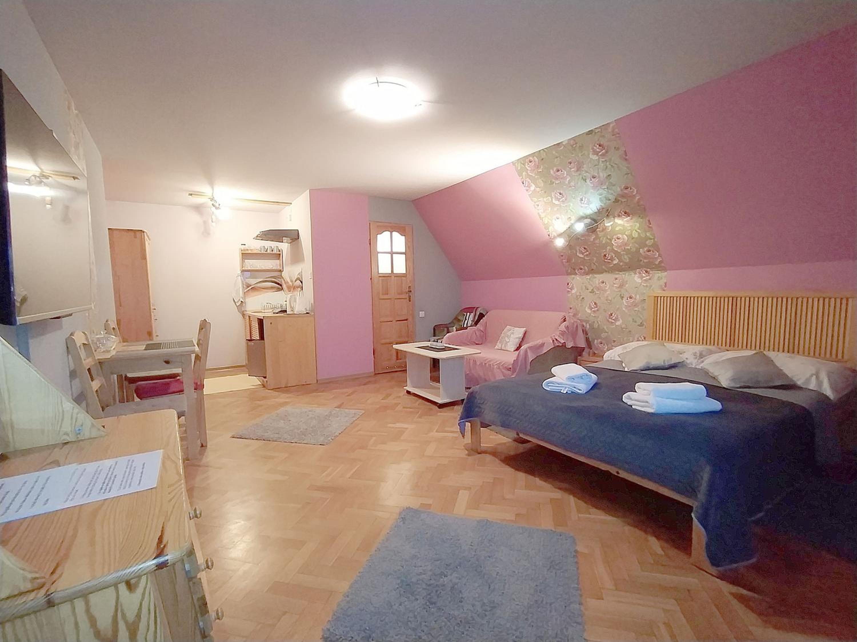 Apartment with Kitchenette and Sofa Bed