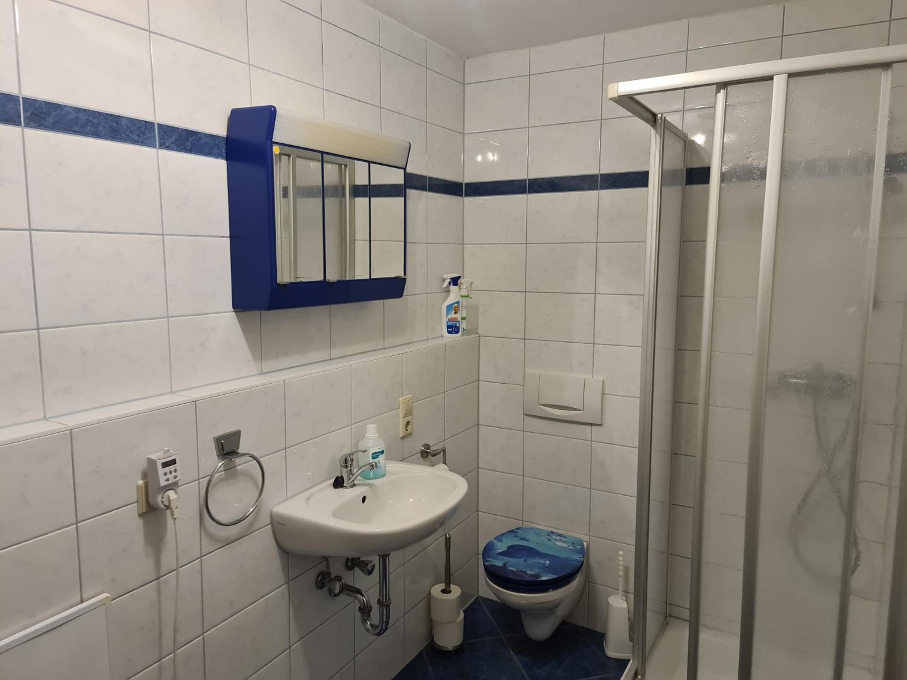 Apartment with Shower photo 3