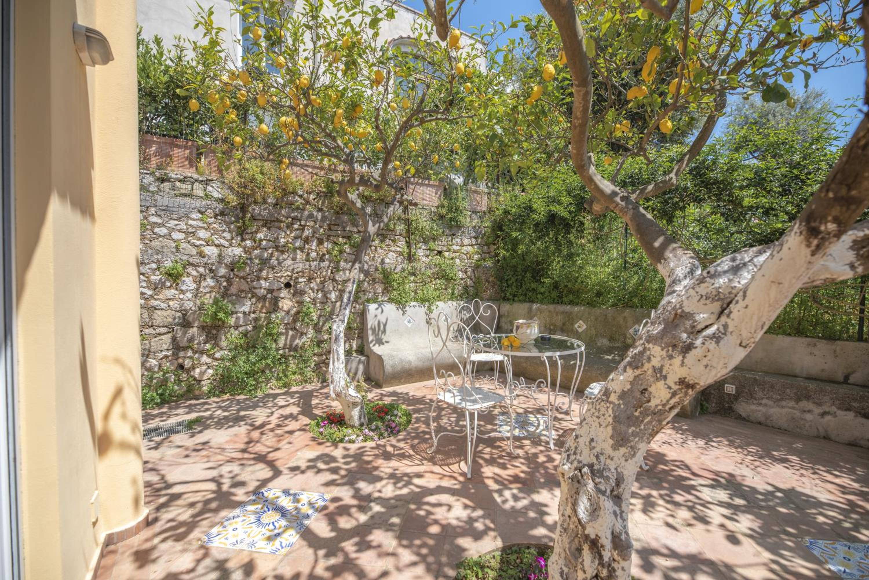 Double Room with Terrace photo 3