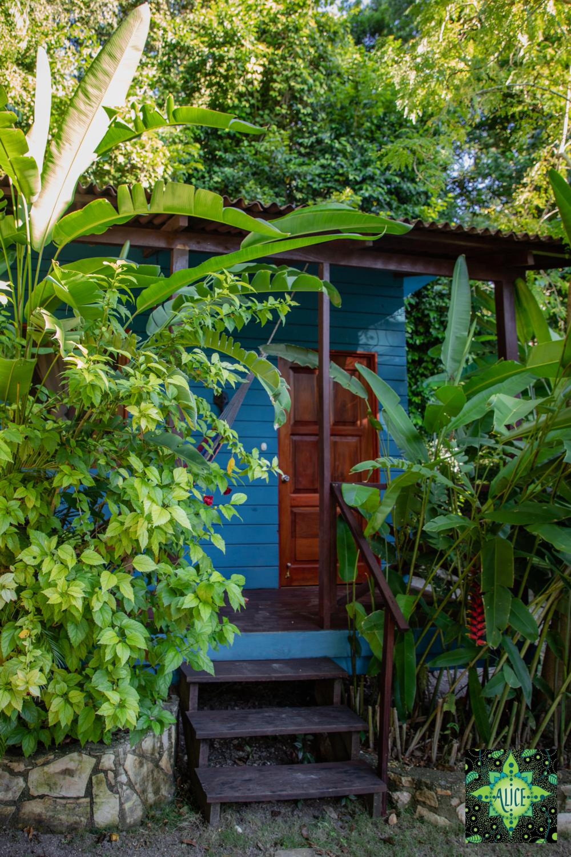 Bungalow with Garden View photo 2