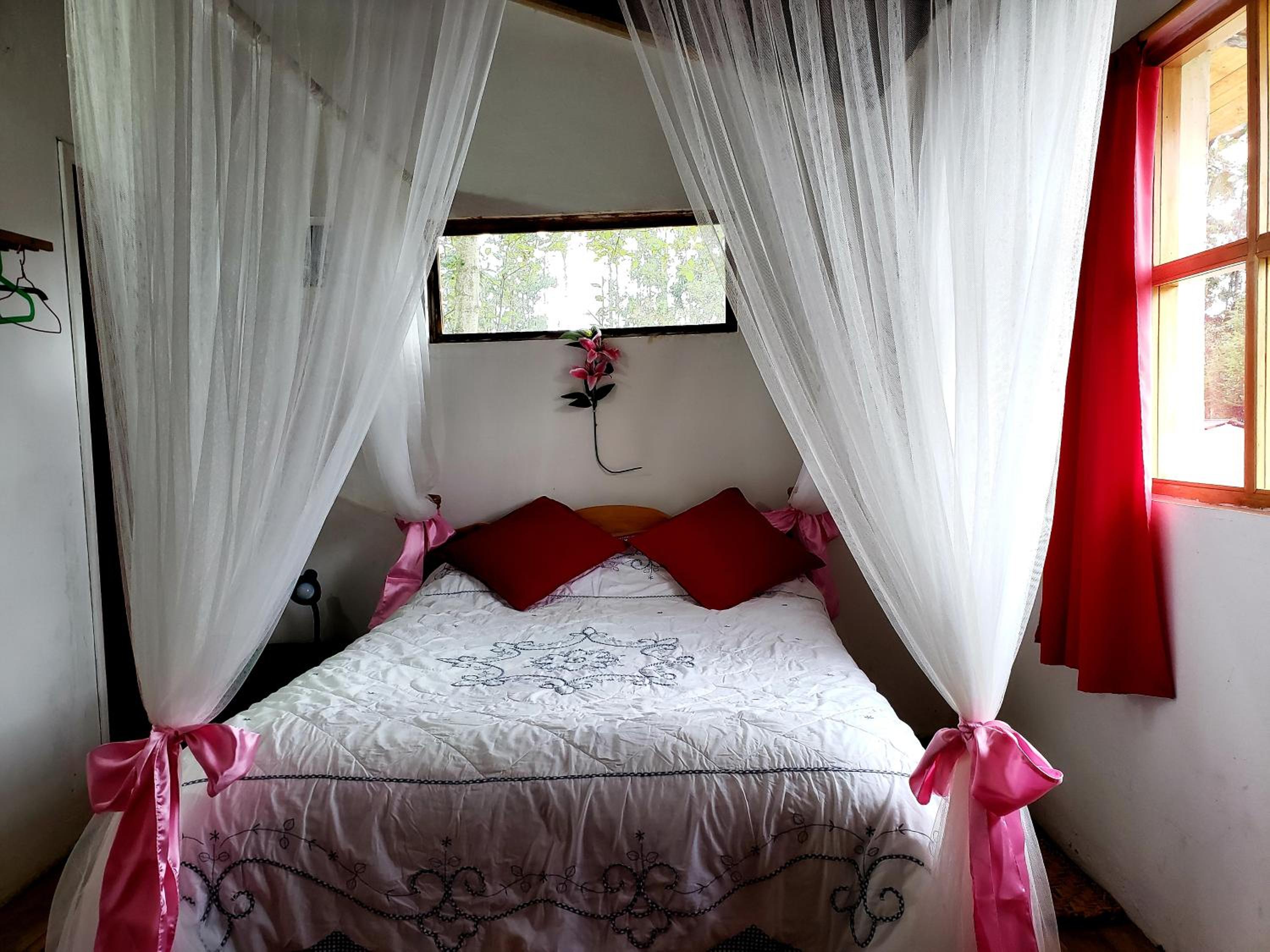 Deluxe Double Room with Shower photo 1